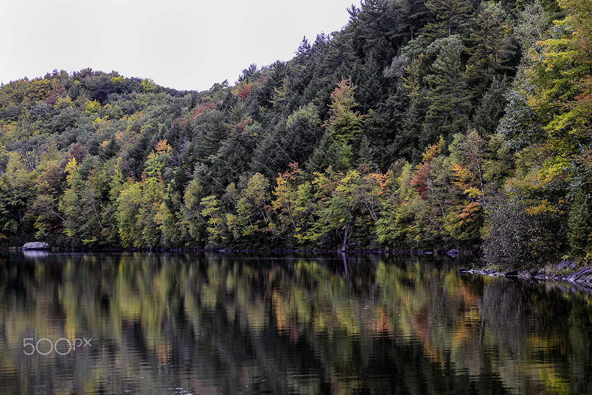 AF Zoom-Nikkor 28-105mm f/3.5-4.5D IF sample photo. Fall photography