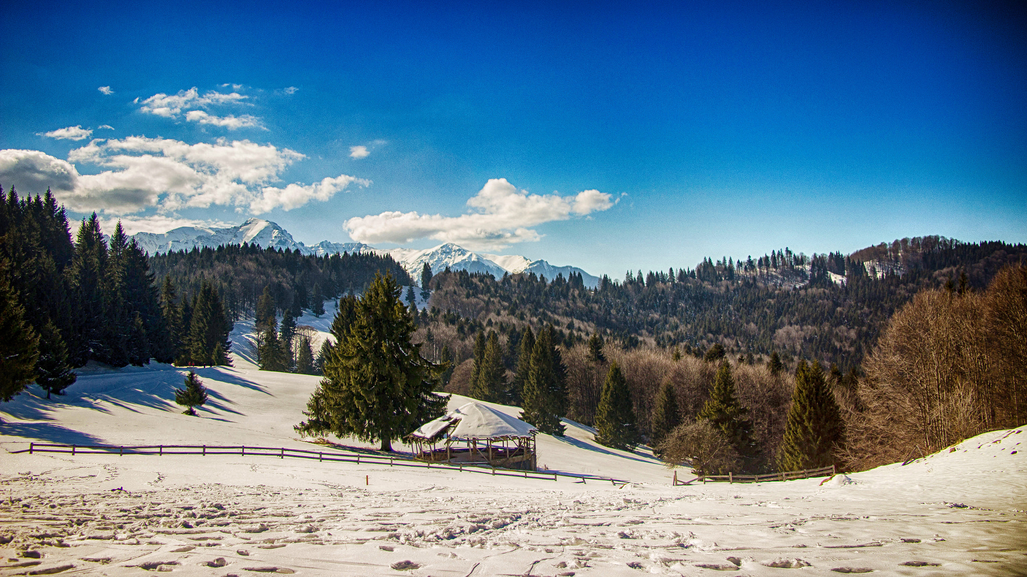 Sigma 18-50mm f/3.5-5.6 DC sample photo. Winter is coming photography