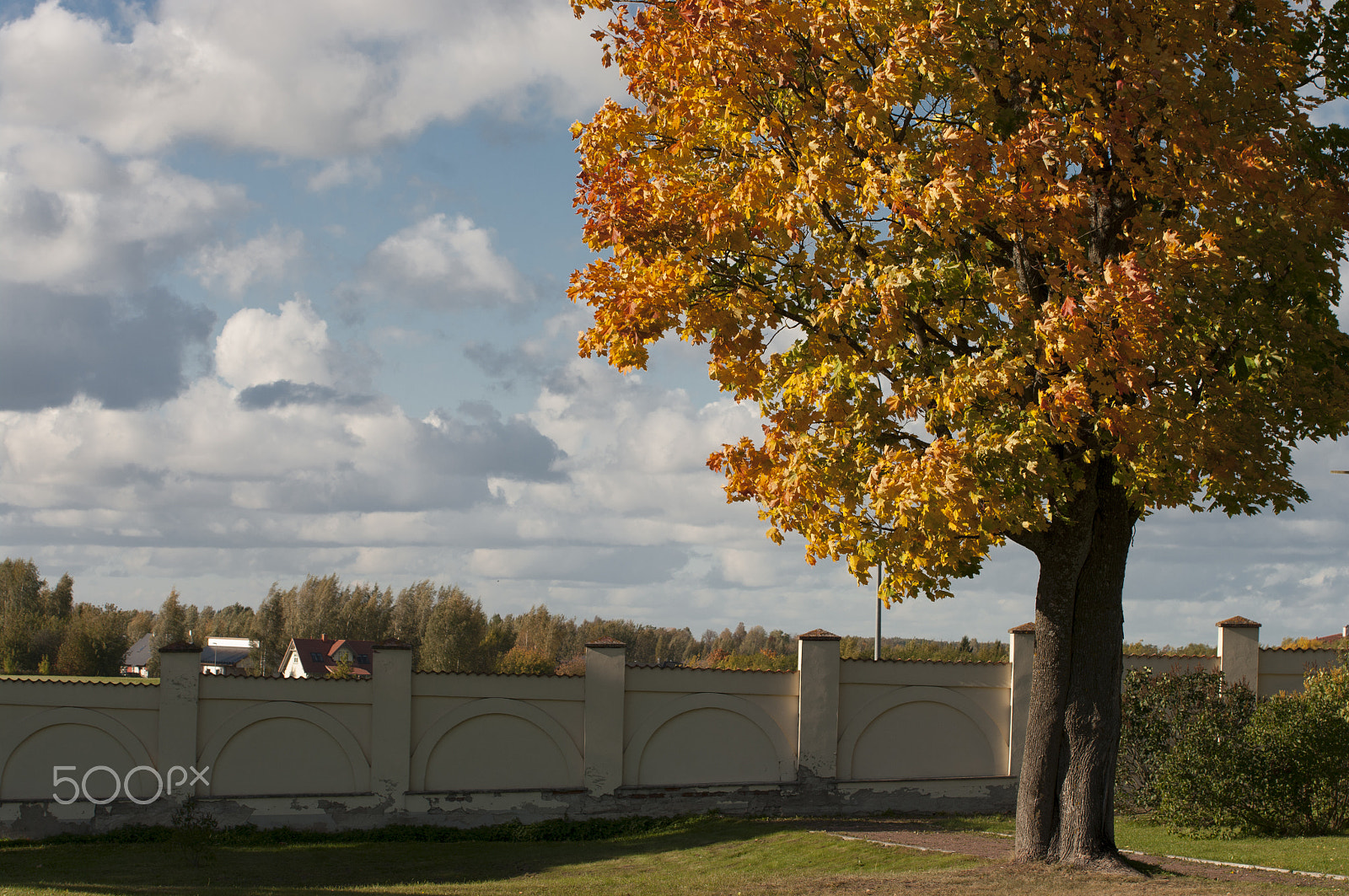 Pentax K20D sample photo. Autumn photography