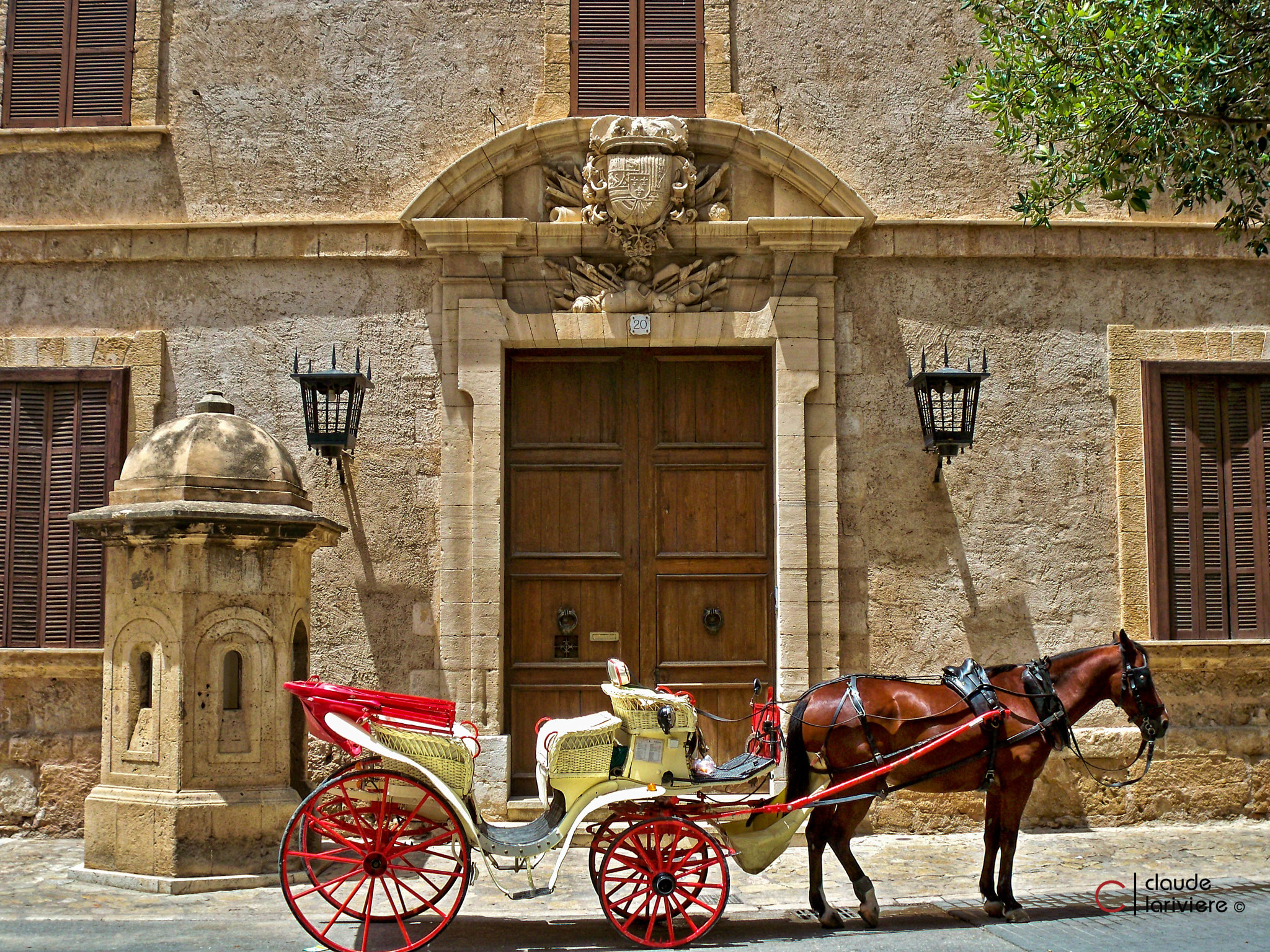 Kodak EasyShare M1033 sample photo. Horse carriage photography