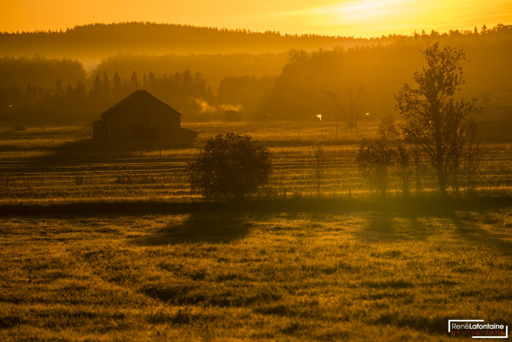 Fujifilm X-E1 + Fujifilm XF 55-200mm F3.5-4.8 R LM OIS sample photo. Sunrise over the barn closer photography