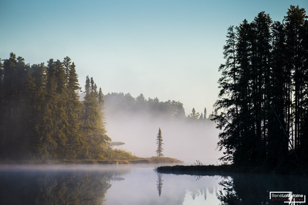 Fujifilm X-E1 + Fujifilm XF 55-200mm F3.5-4.8 R LM OIS sample photo. Misty lonely tree 2 photography
