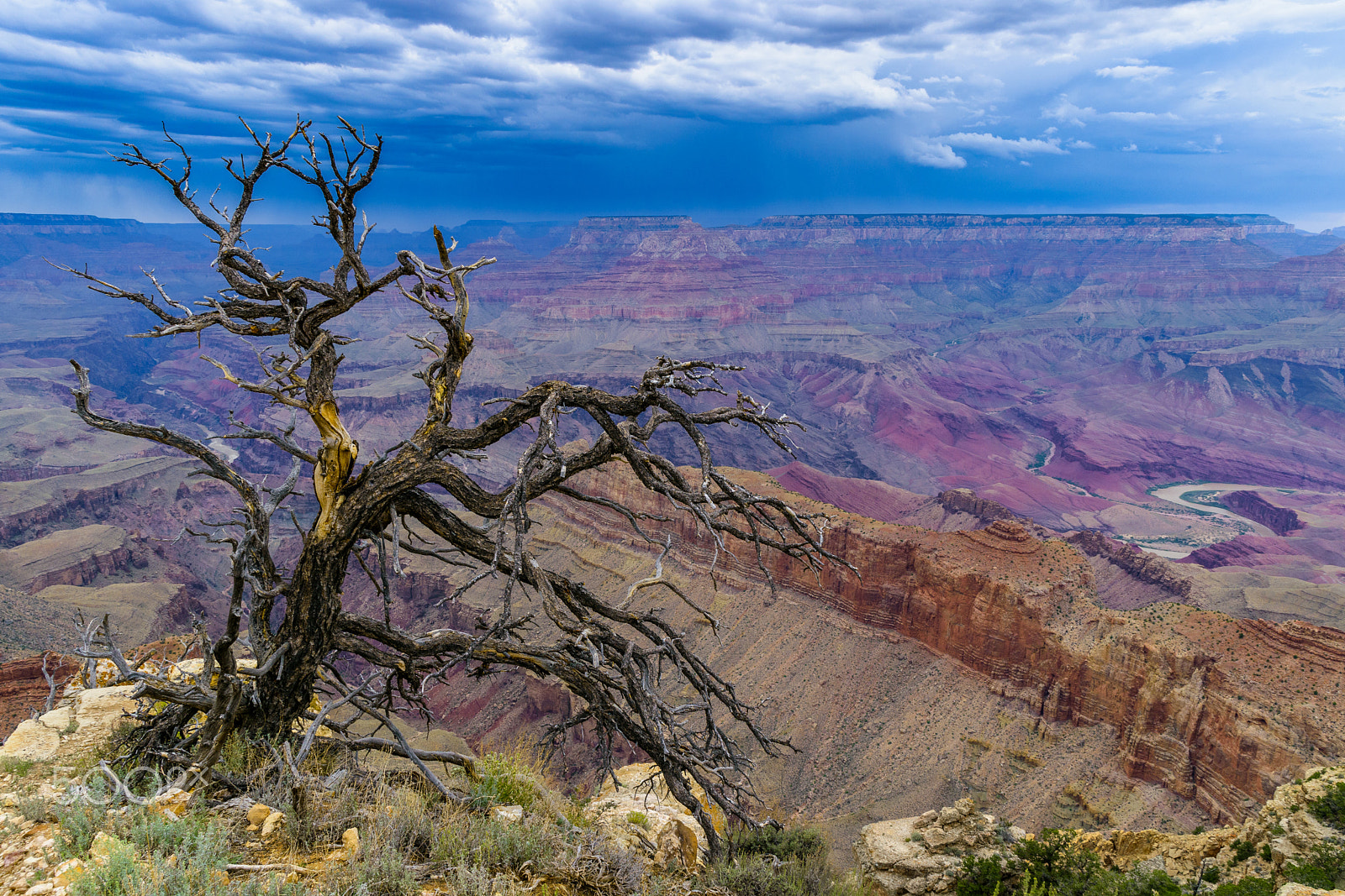 Nikon D5500 sample photo. Thunderstorm at grand canyon (south rim) photography