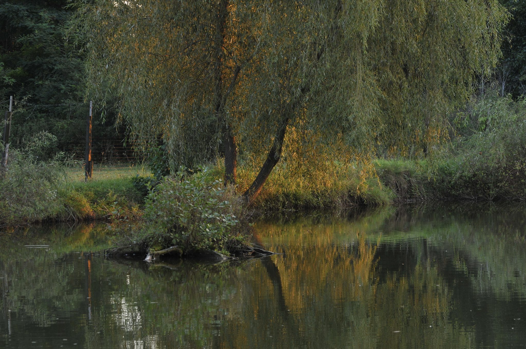 Nikon D300S sample photo. Fall coming photography