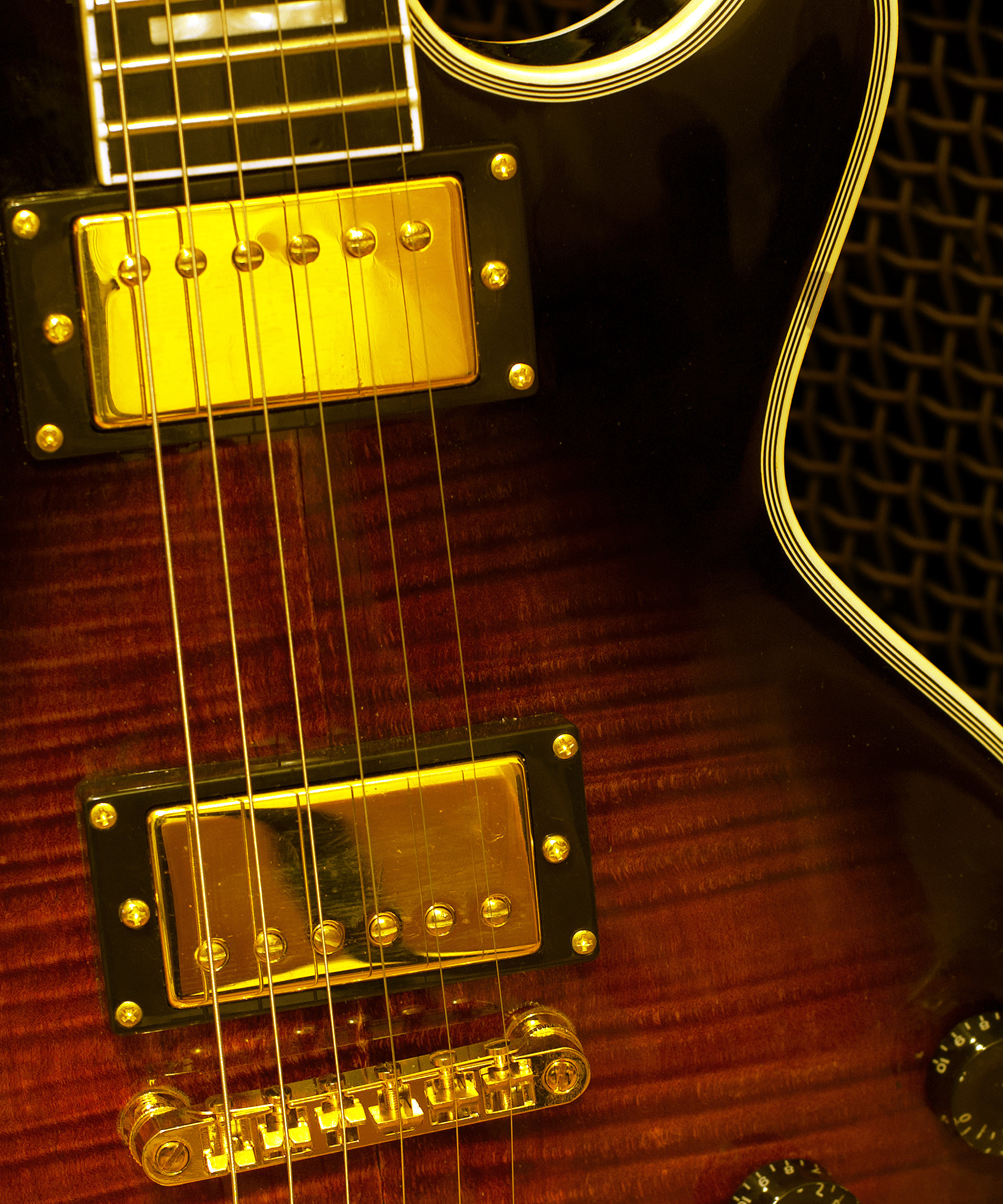 Nikon D70 sample photo. Gibson custom photography