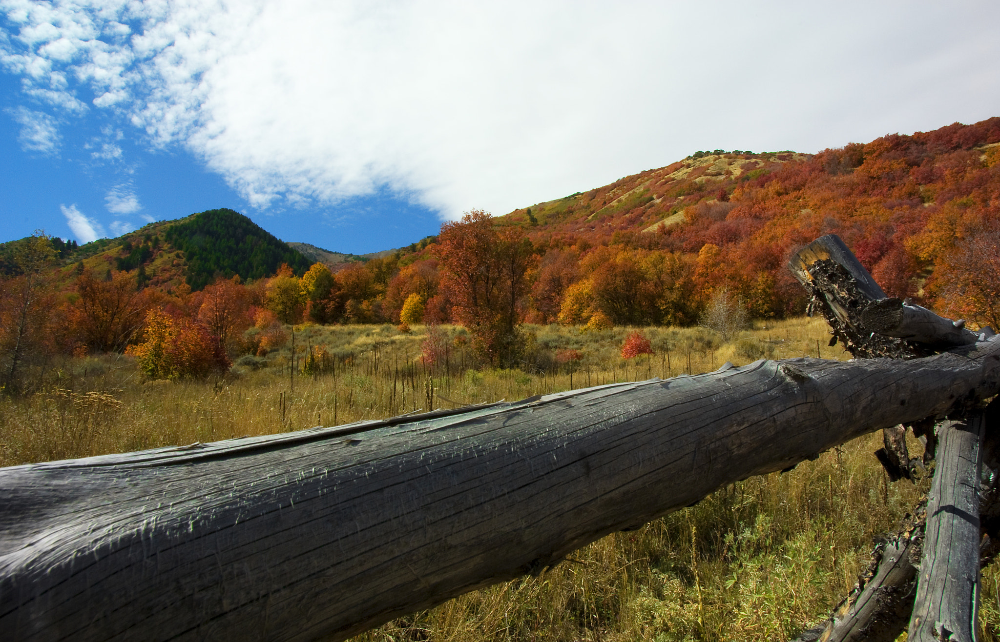 Pentax K10D sample photo. Utah mountain autumn storm photography
