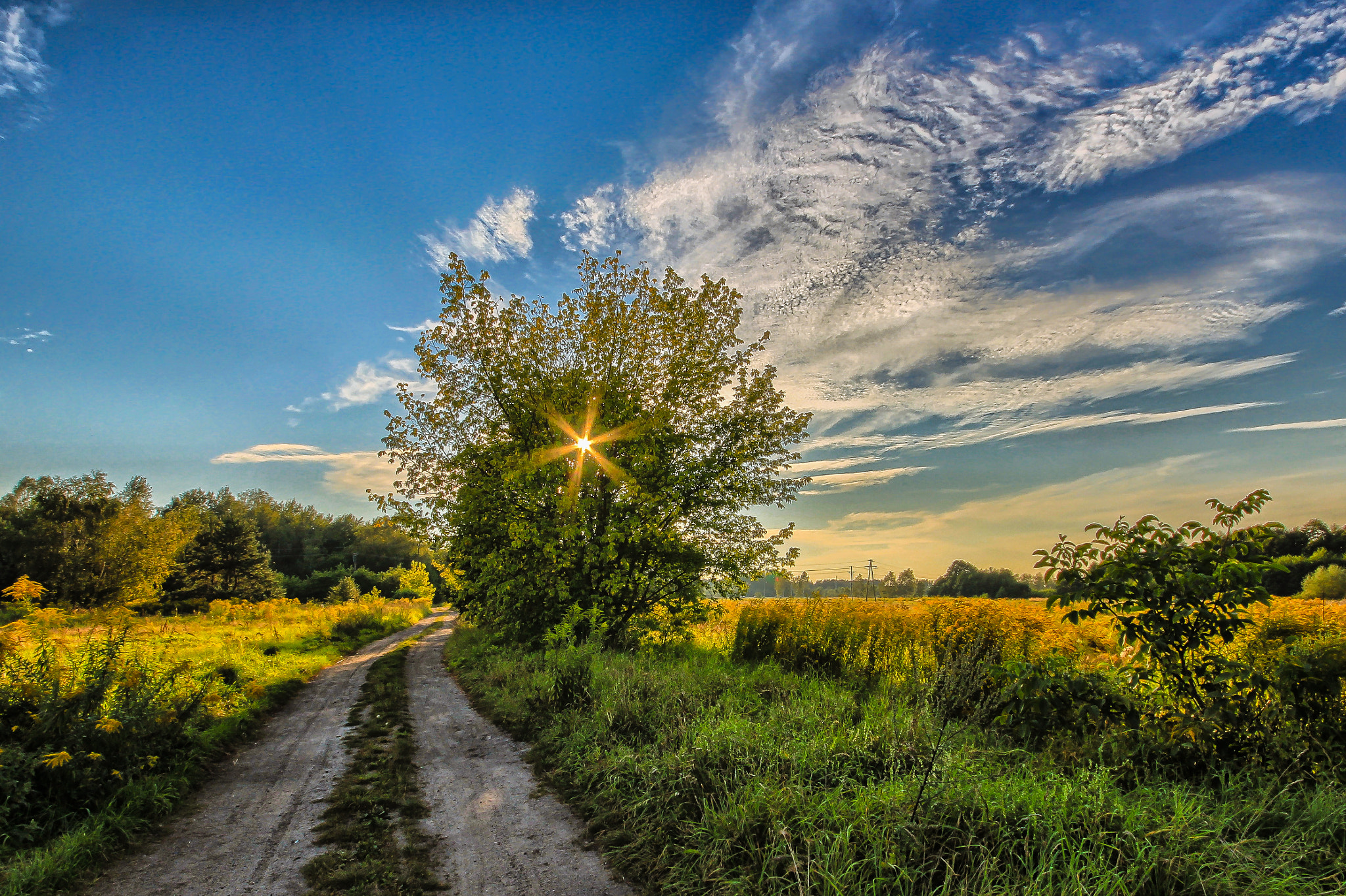 10.0 - 20.0 mm sample photo. Colors... photography