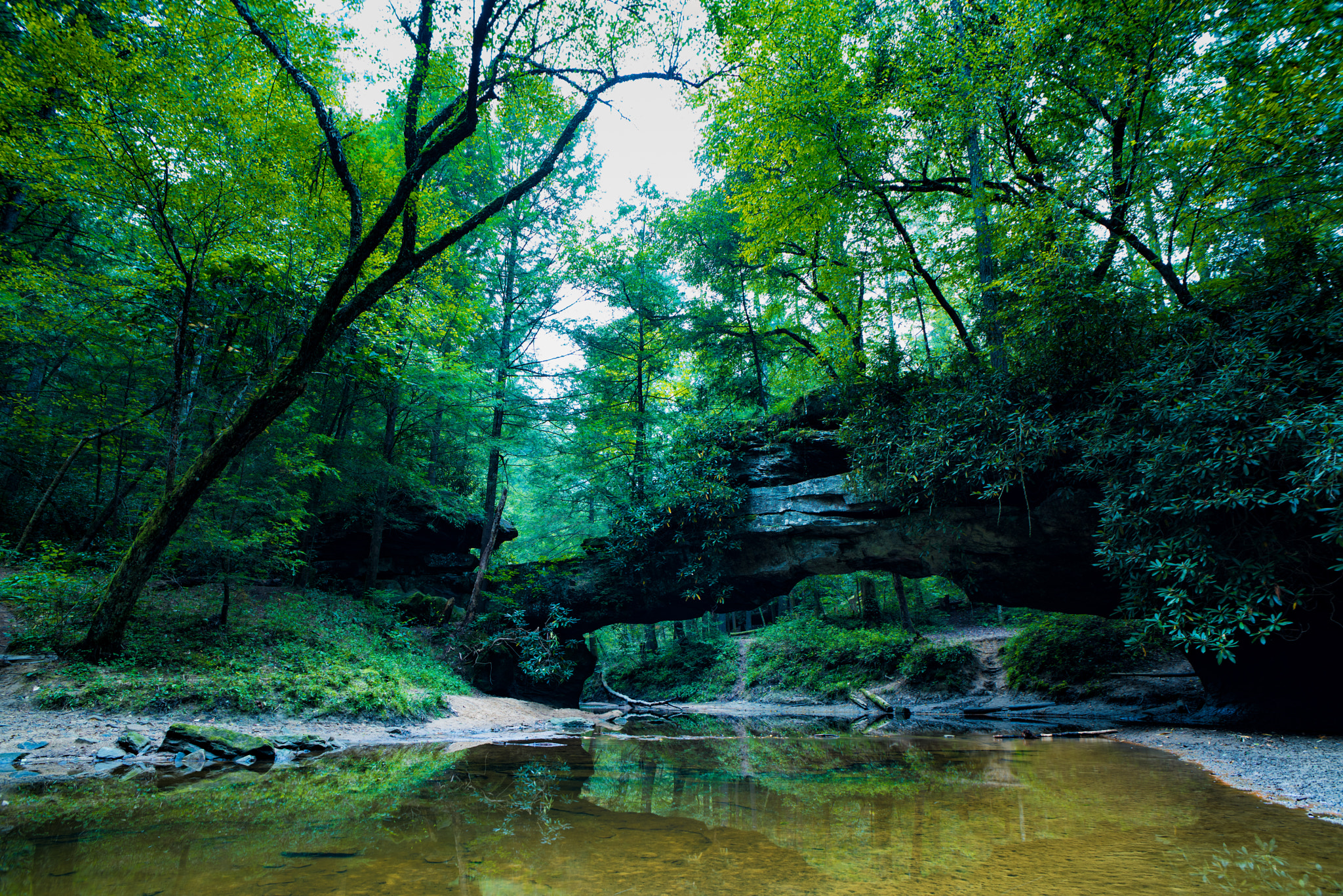 Nikon D810 + Nikon AF Nikkor 20mm F2.8D sample photo. Rock bridge arch photography