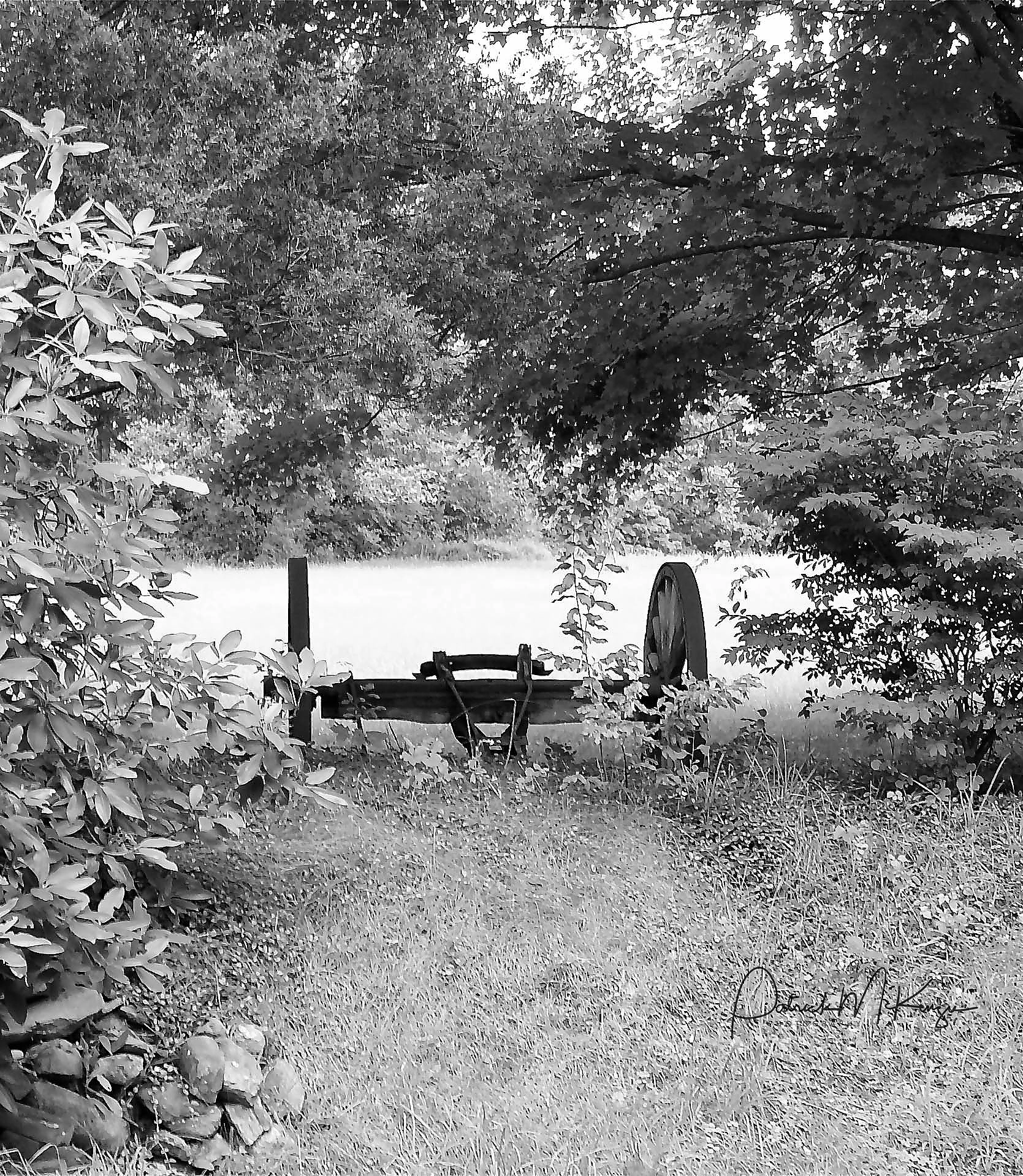 Sony DSC-V1 sample photo. End of the road photography