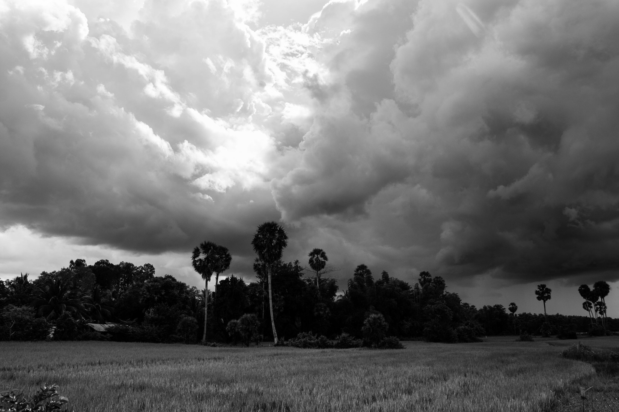 Sigma 17-70mm F2.8-4 DC Macro OS HSM sample photo. Cambodia photography