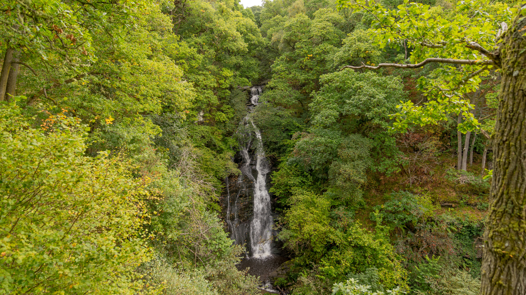 Sony a7 + Sony FE 24-70mm F2.8 GM sample photo. Pitlochry black spout waterfall 1 photography