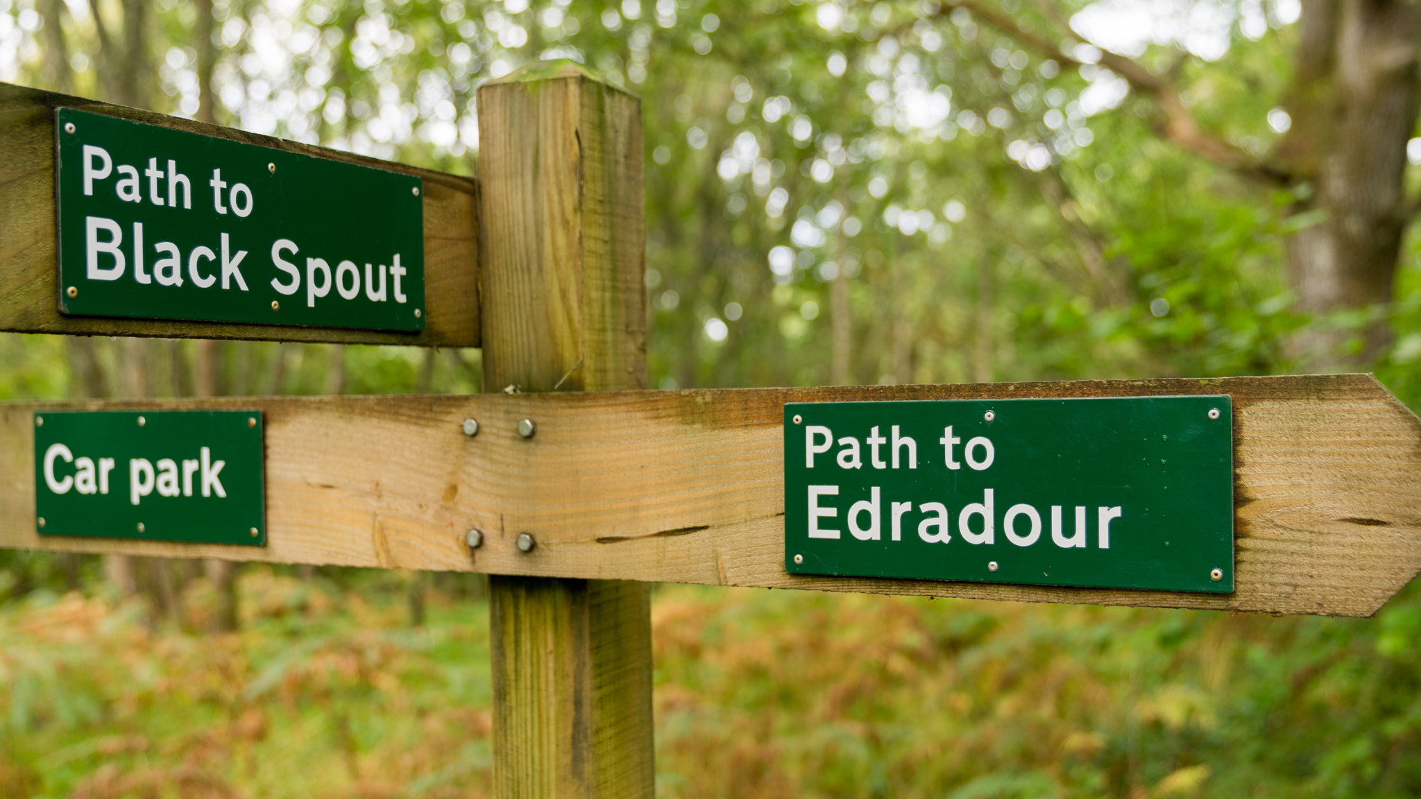 Sony a7 sample photo. Pitlochry forest path photography