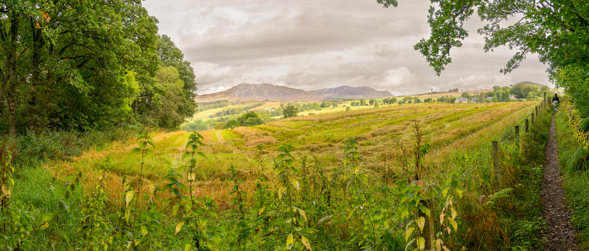 Sony a7 + Sony FE 24-70mm F2.8 GM sample photo. Pitlochry forest path to edradour pano photography