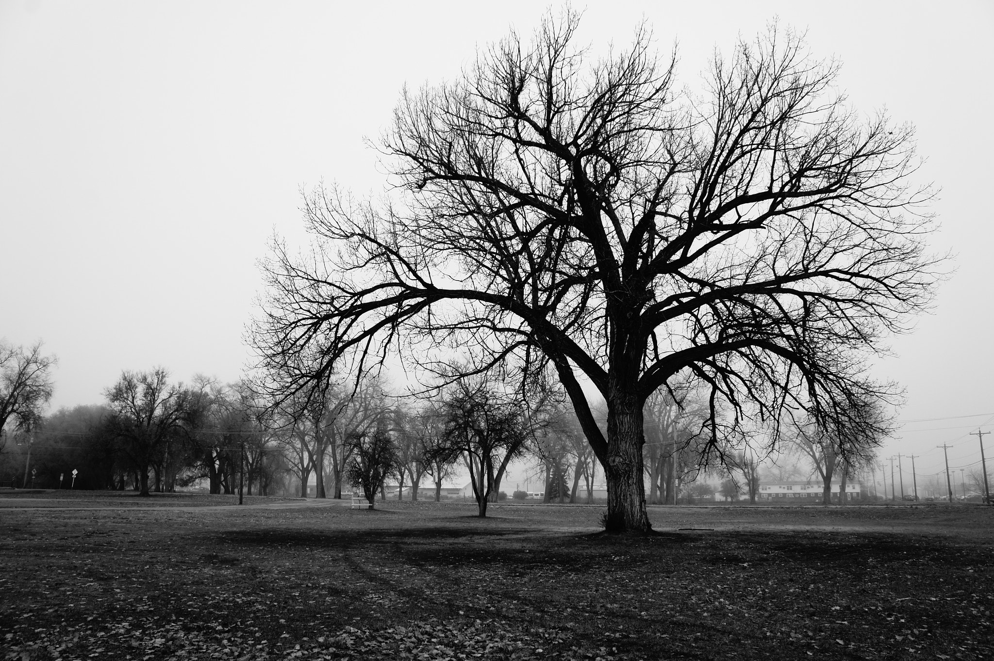 v2?sig=09ea5c6dccf71ebd8b95125047e317d3e