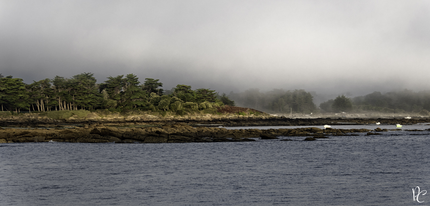 Nikon D500 sample photo. Plage conches ile yeu photography