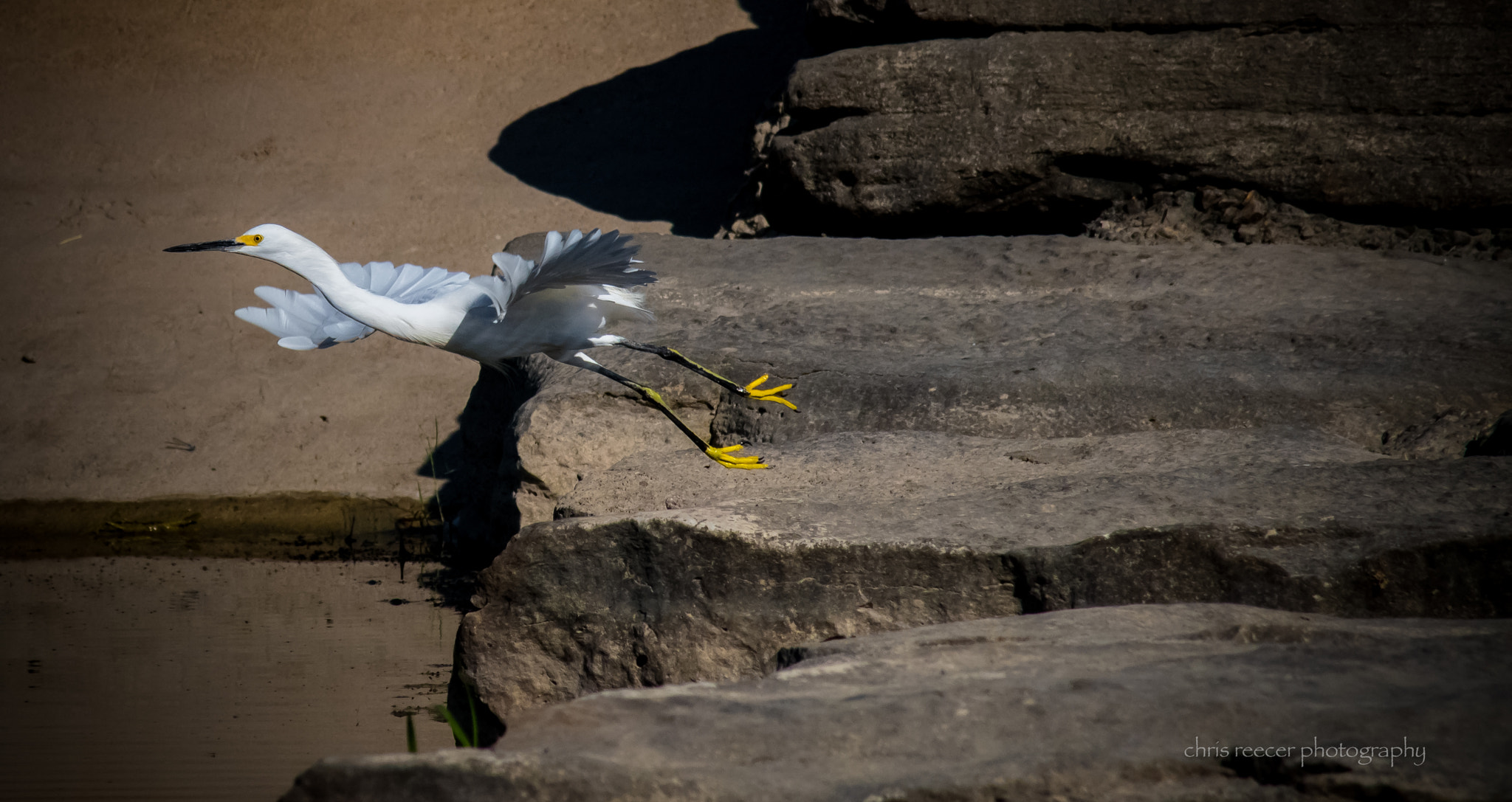 Nikon D500 sample photo. Launch photography