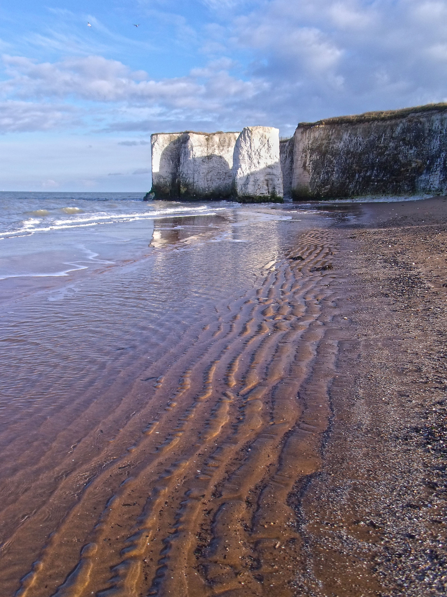 Fujifilm FinePix J250 sample photo. Botany bay photography