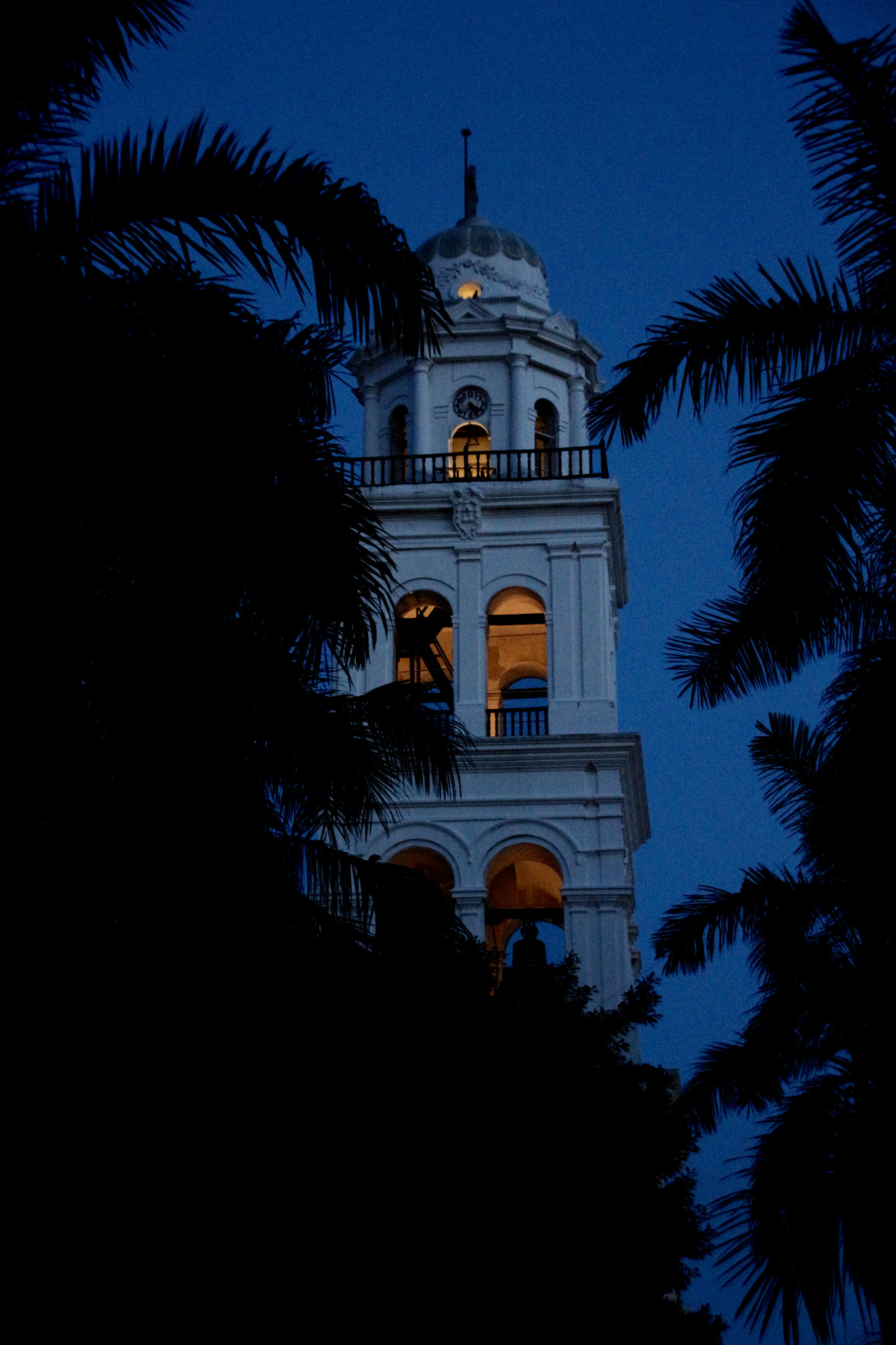 Sigma 18-125mm F3.8-5.6 DC OS HSM sample photo