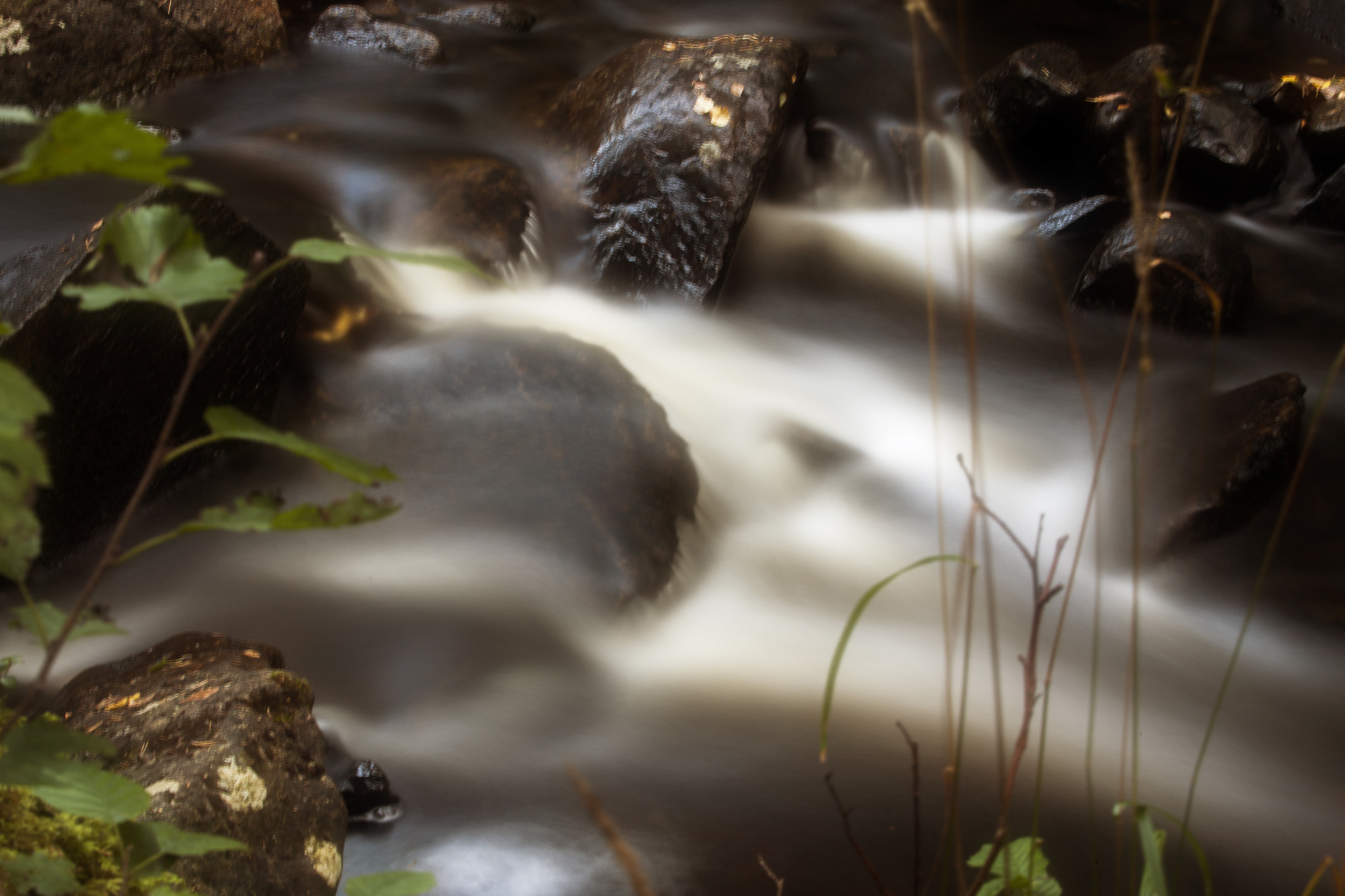 Canon EF 70-300mm F4-5.6L IS USM sample photo. Img photography