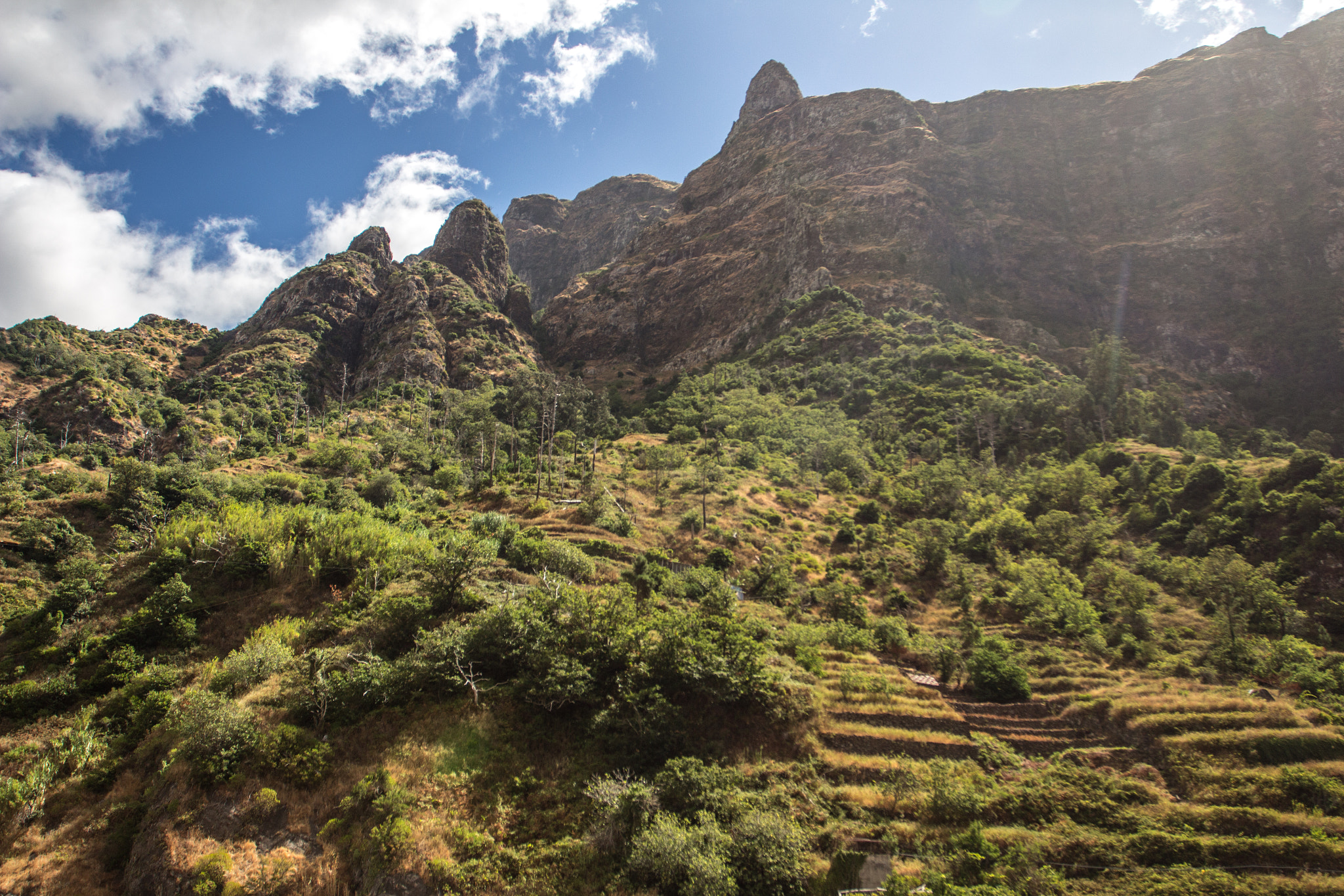 Canon EOS 700D (EOS Rebel T5i / EOS Kiss X7i) sample photo. Madeira xii photography