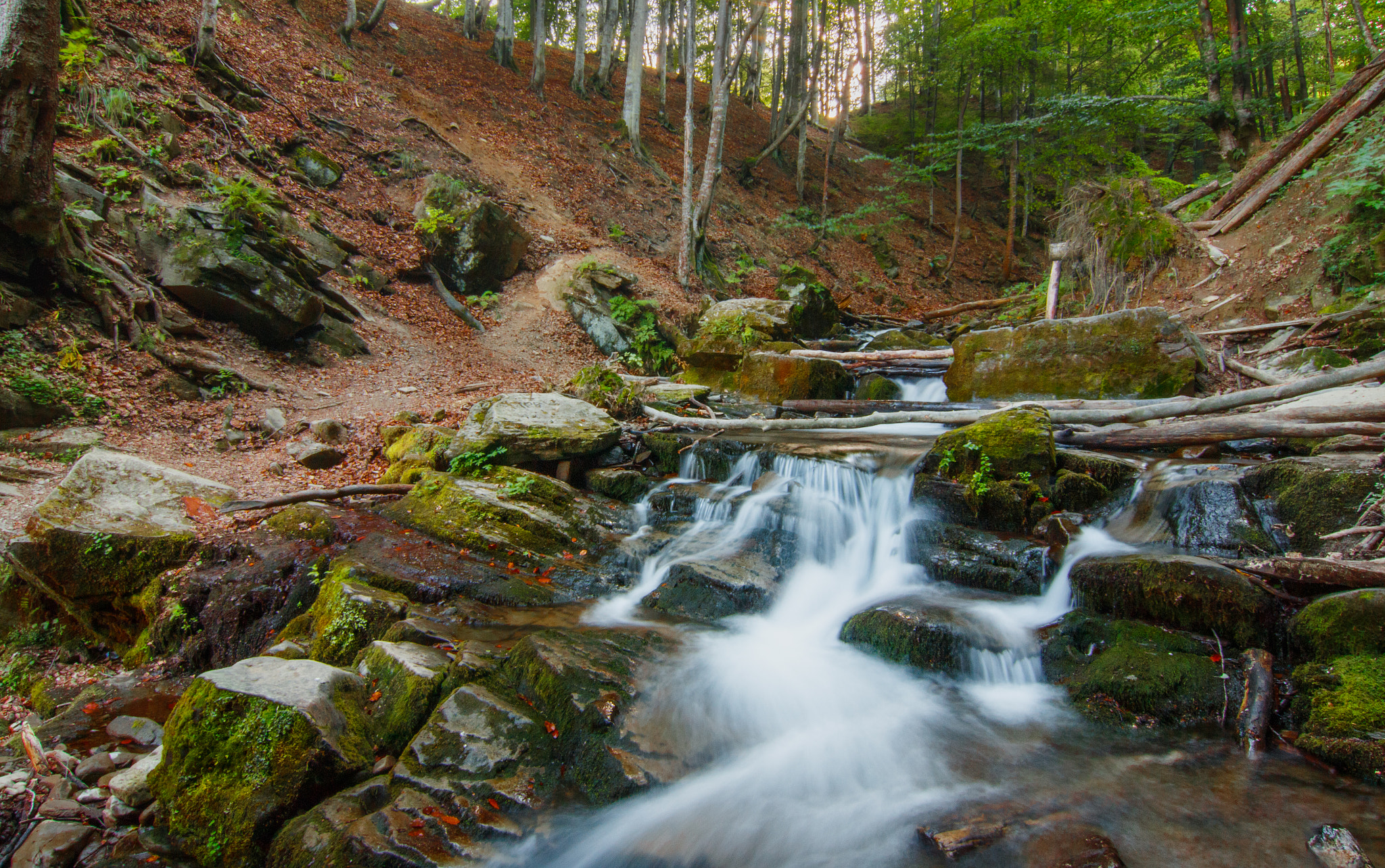 Tokina AT-X Pro 12-24mm F4 (IF) DX sample photo. Rough photography