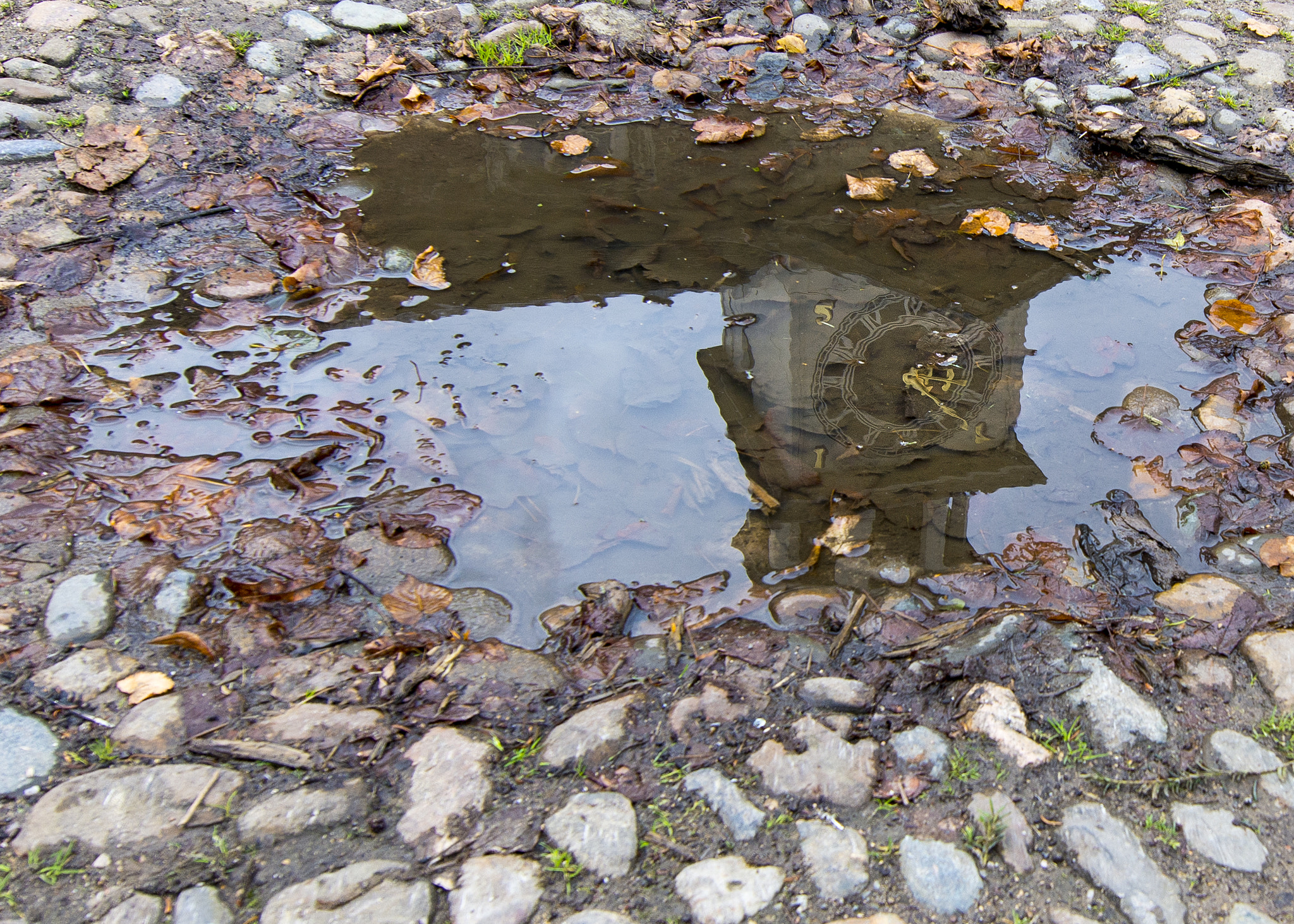 Nikon AF-S Nikkor 14-24mm F2.8G ED sample photo. Time after the rain photography