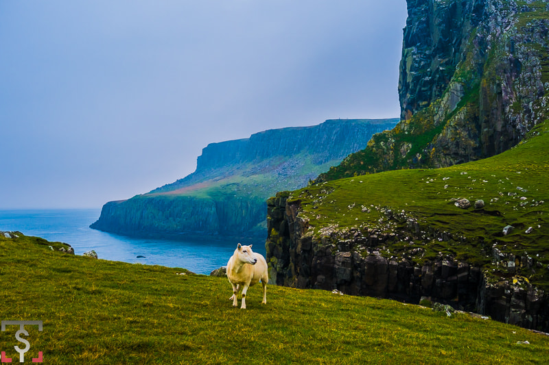 Fujifilm X-Pro1 sample photo. Photography, highlands of scotland photography