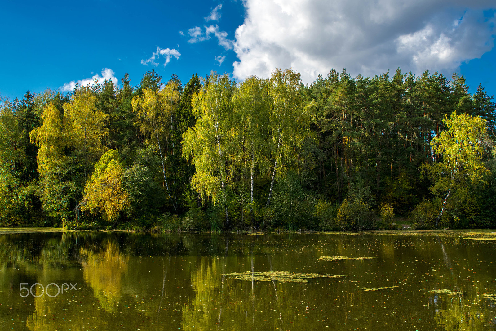 Tamron SP 24-70mm F2.8 Di VC USD sample photo. The small lake photography