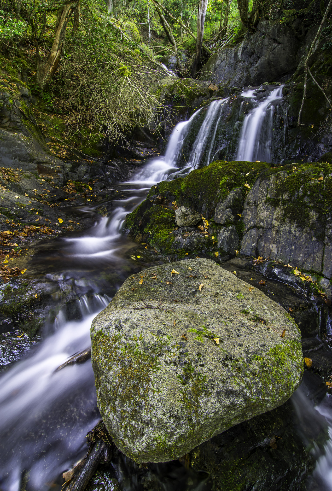 Pentax K-3 sample photo. Lost creek photography