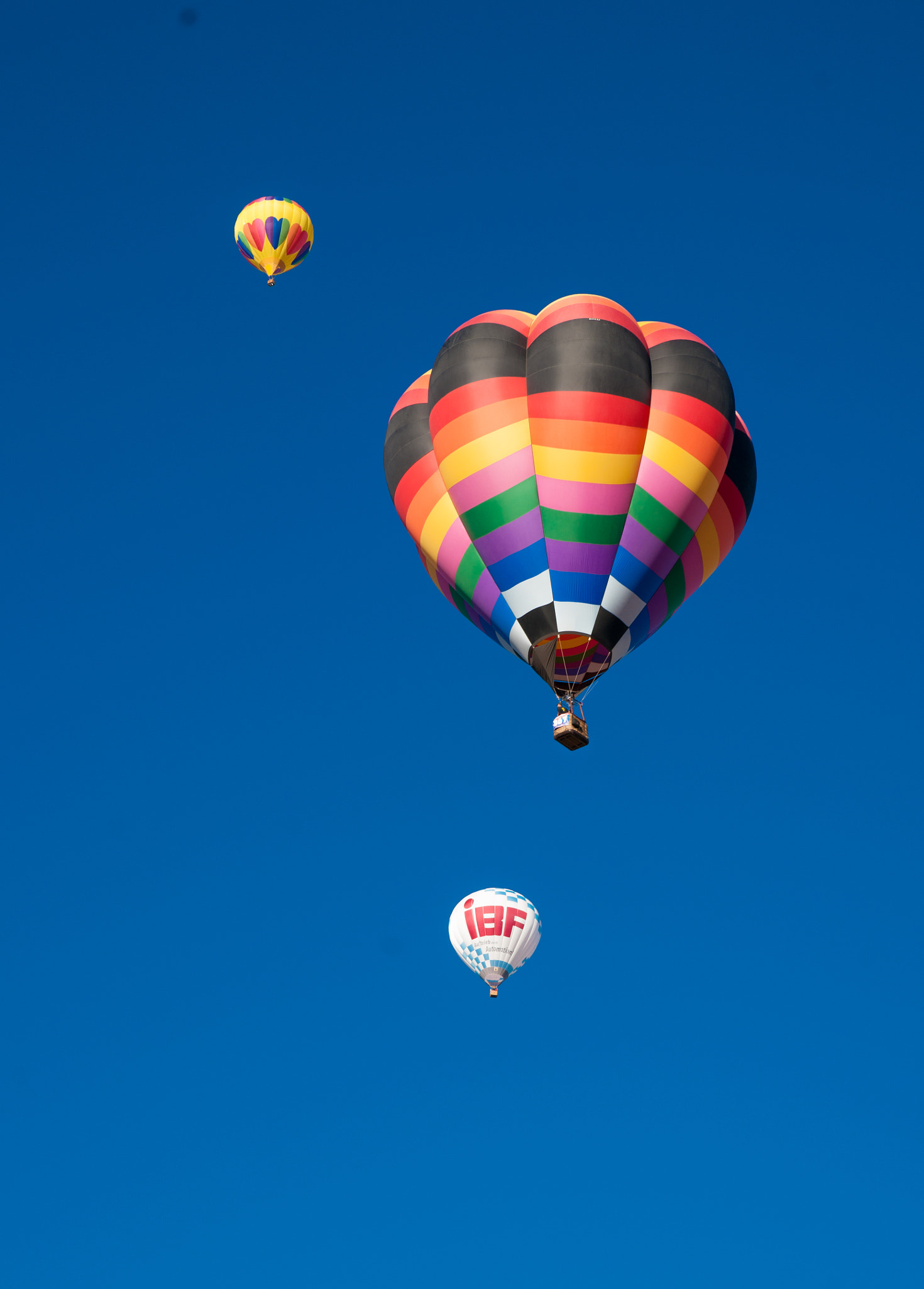 Sony Alpha DSLR-A900 + Sony 28-75mm F2.8 SAM sample photo. 2016 albuquerque balloon fiesta photography