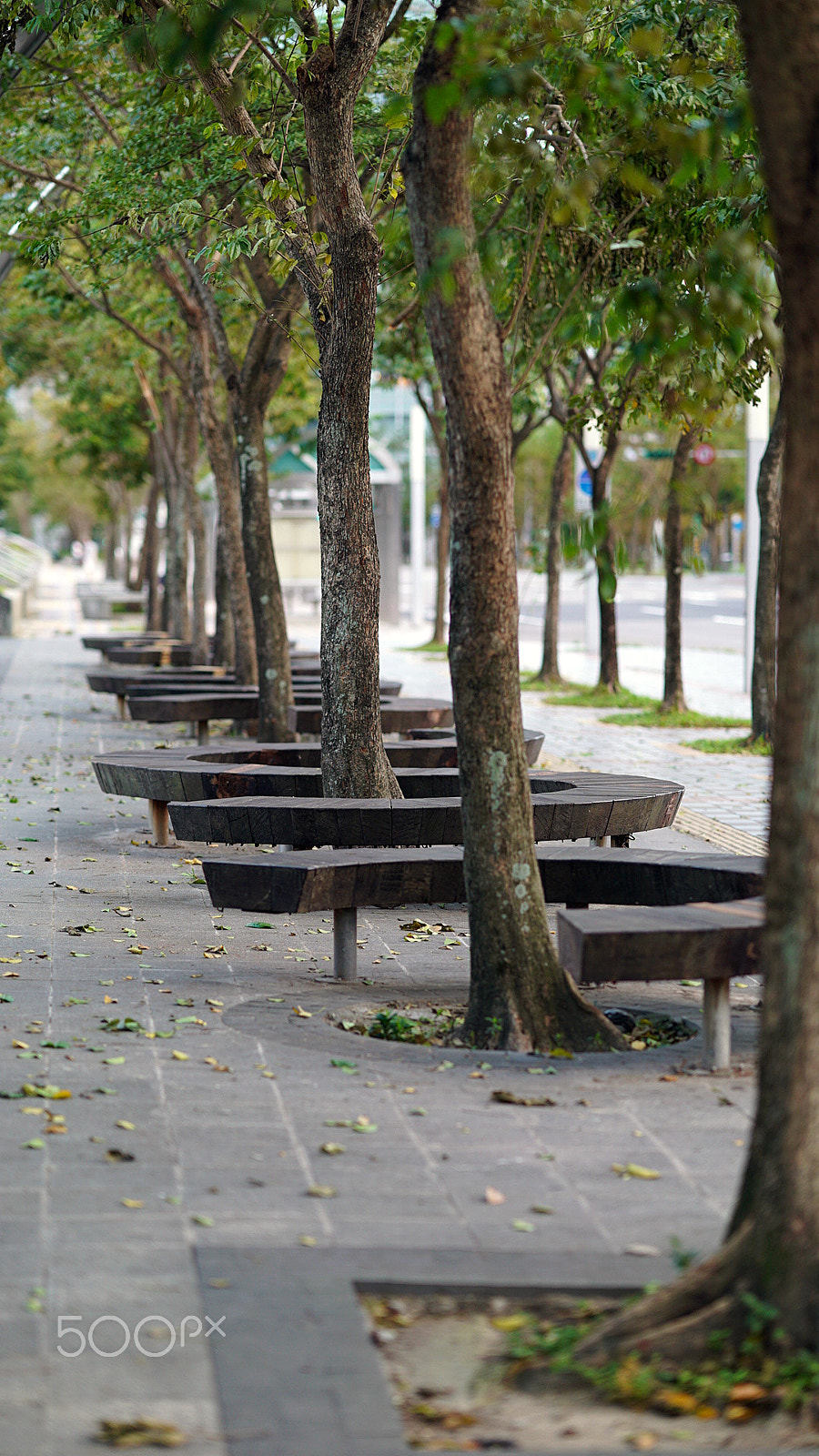 Sony a7S II + Sony FE 85mm F1.4 GM sample photo. Good break spot photography