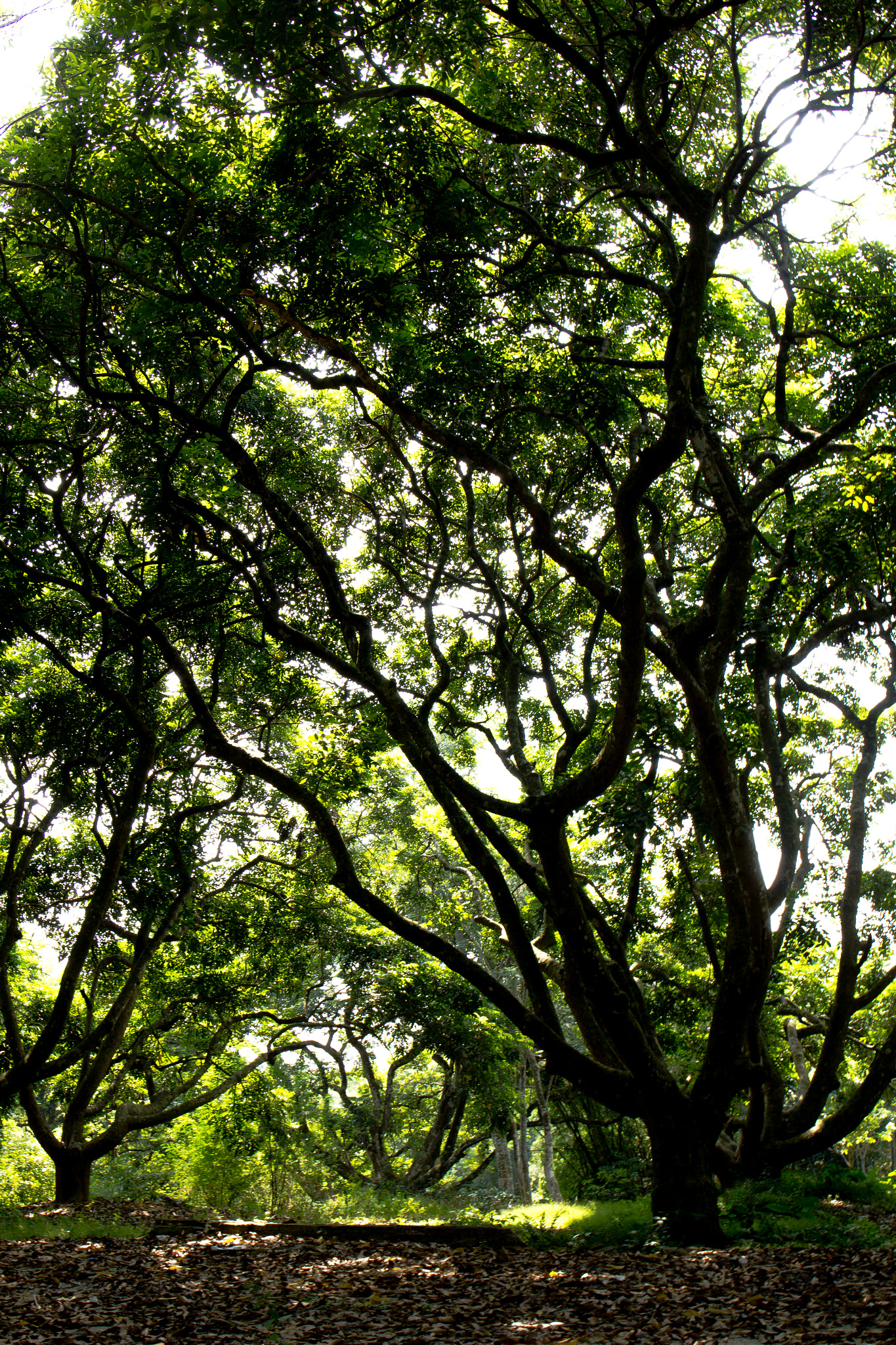 Canon EF 24-70mm F4L IS USM sample photo
