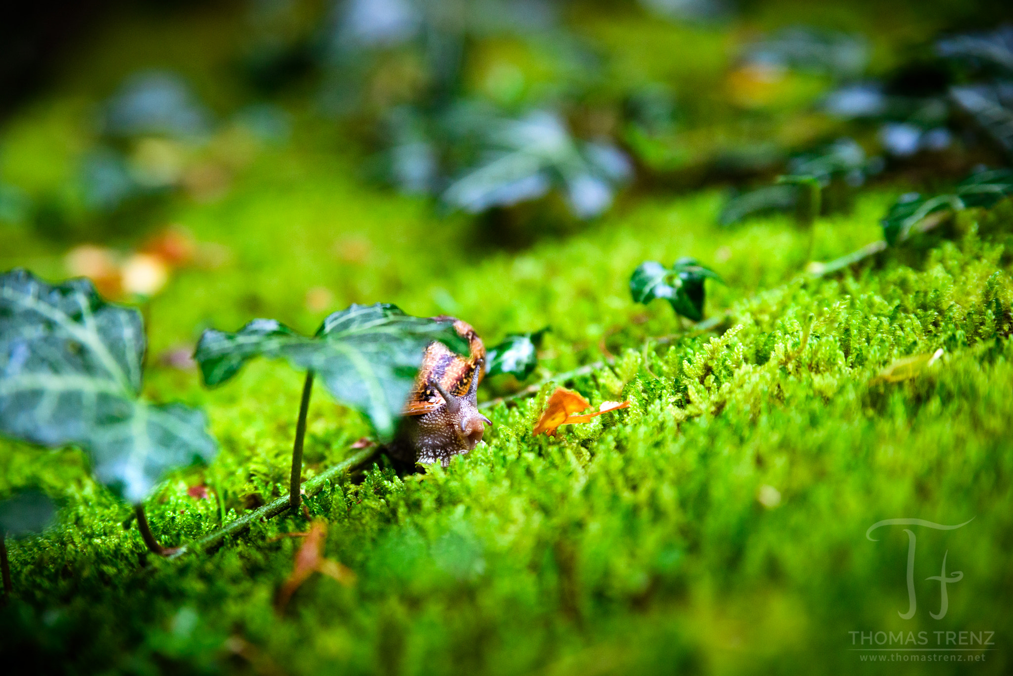 Nikon D600 sample photo. On the road photography