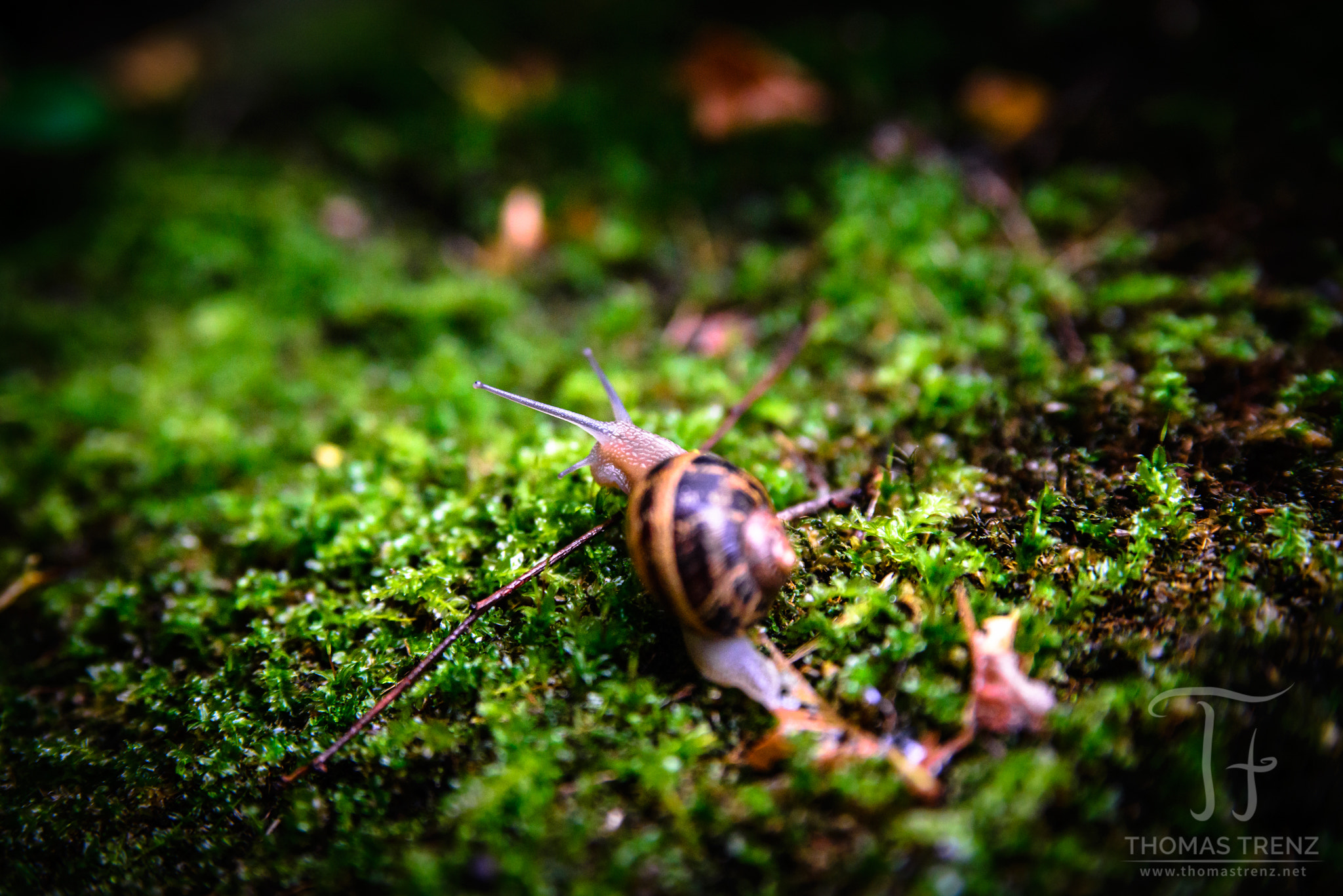 Nikon D600 sample photo. On the way photography