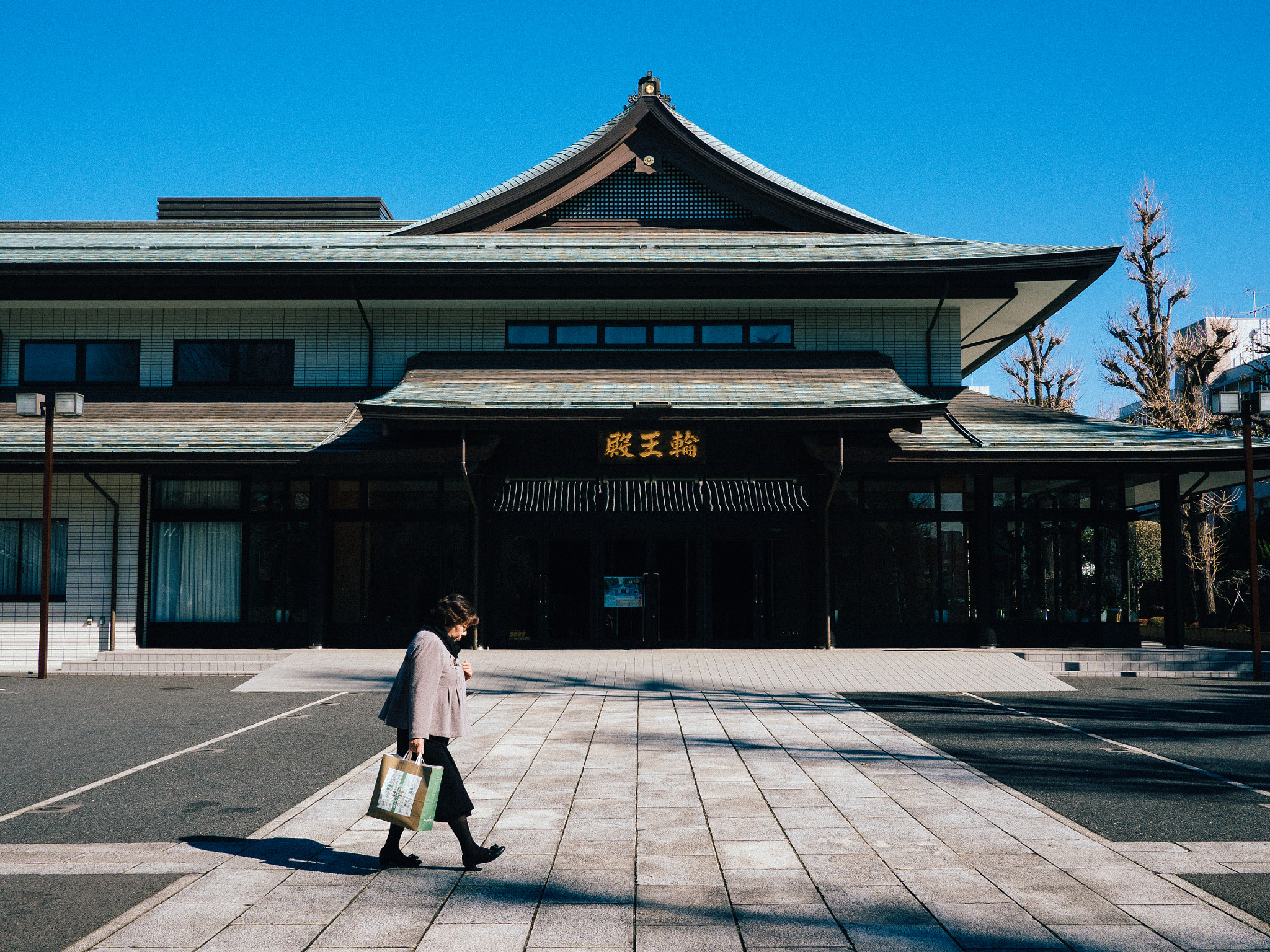 Olympus OM-D E-M5 II + LUMIX G 20/F1.7 II sample photo. Ryodaishi 2 photography