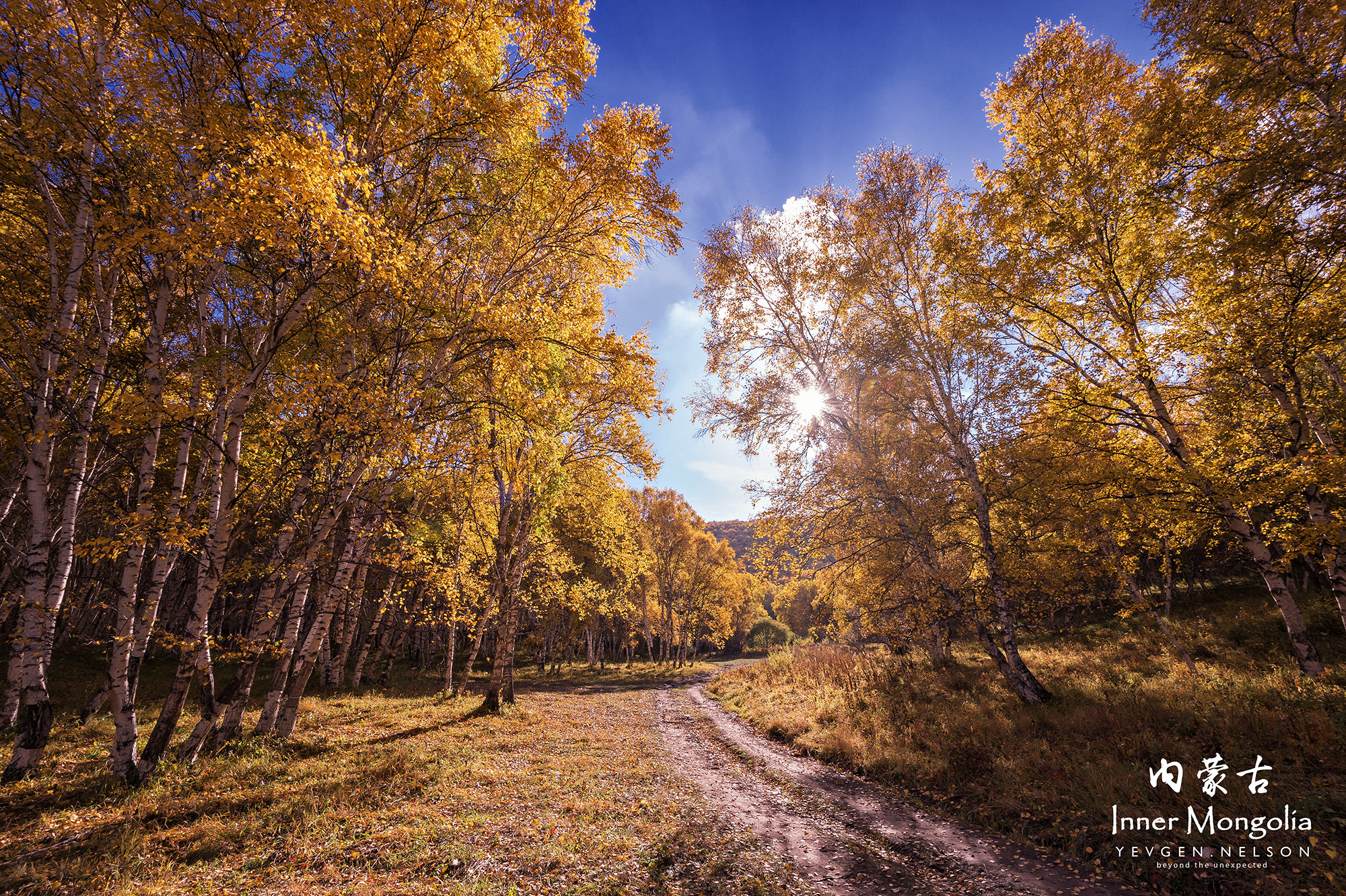 Nikon D4S sample photo. Autumn inner mongolia photography