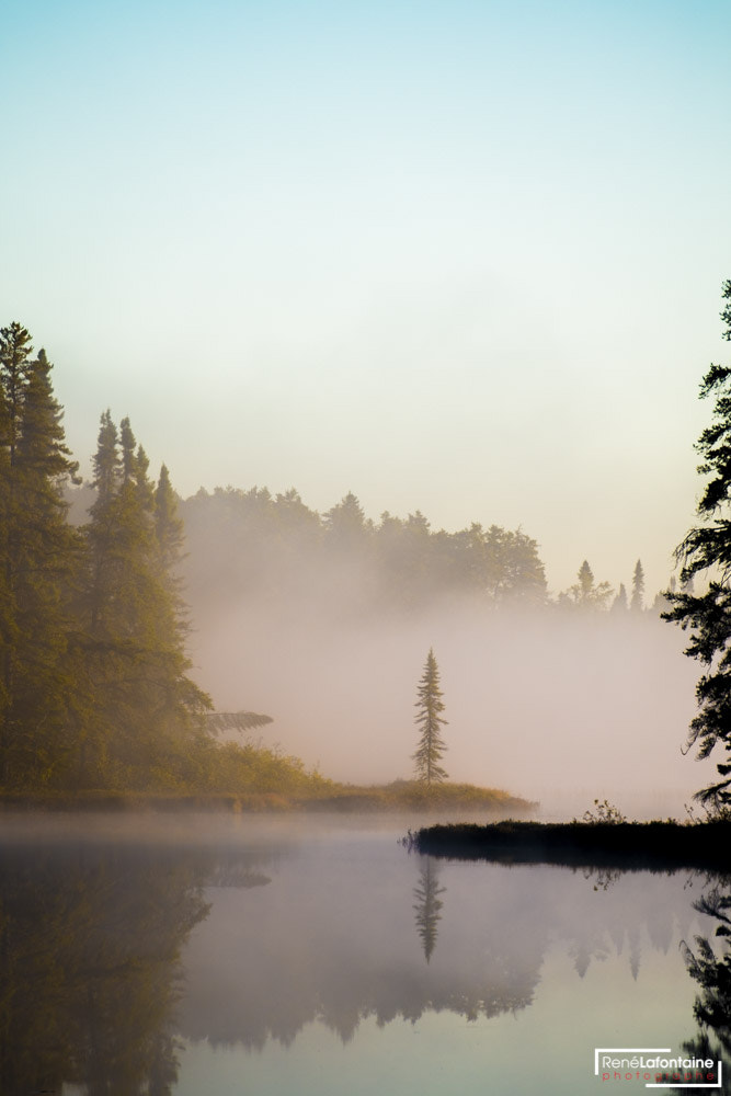 Fujifilm X-E1 + Fujifilm XF 55-200mm F3.5-4.8 R LM OIS sample photo. Lonely spruce on a misty lake photography