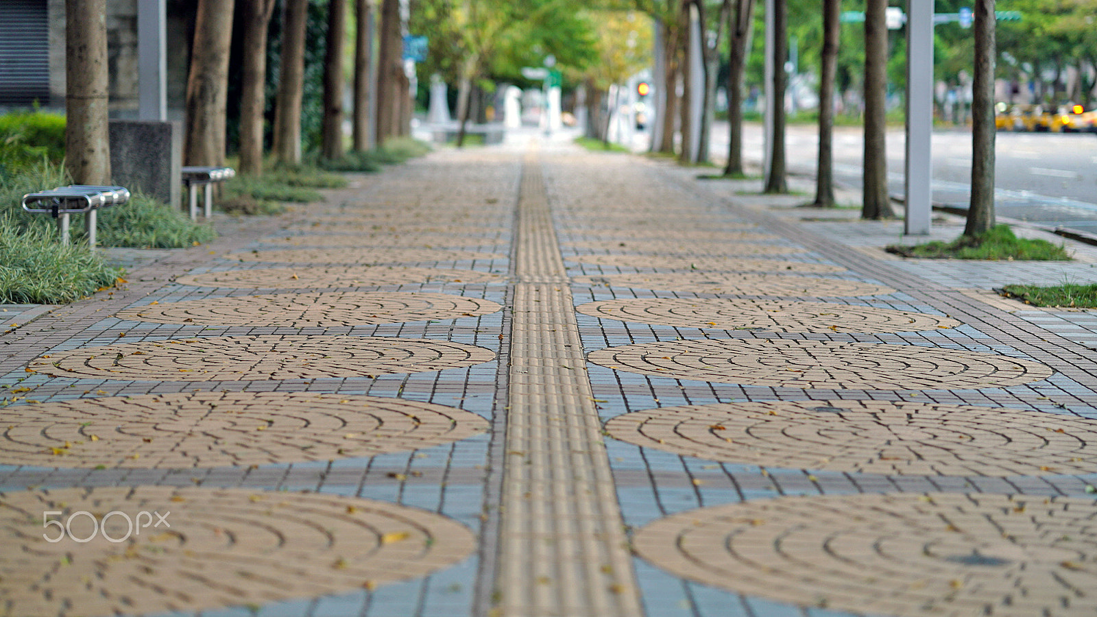 Sony a7S II + Sony FE 85mm F1.4 GM sample photo. Nice & quiet stroll photography