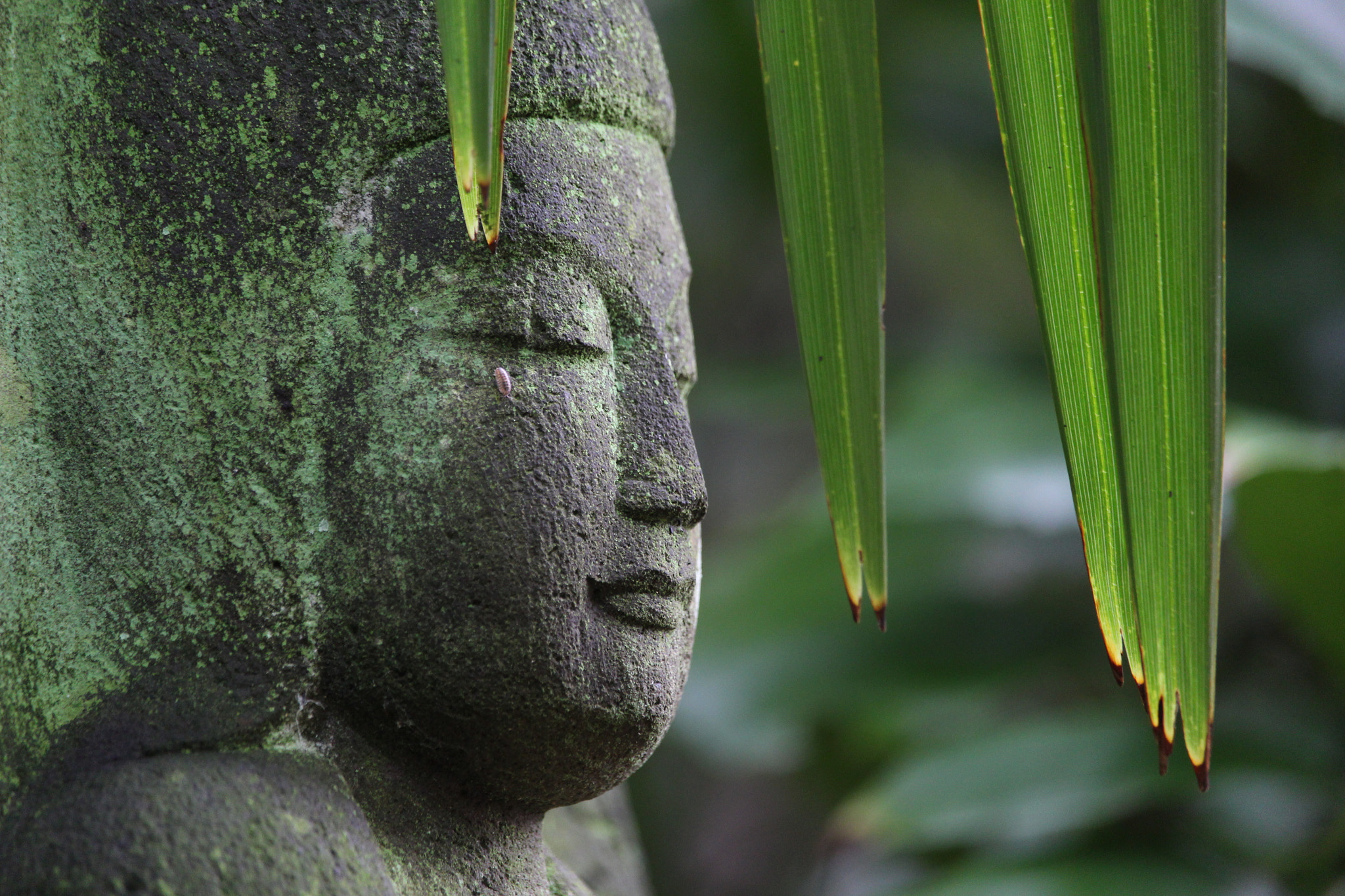 Canon EOS 700D (EOS Rebel T5i / EOS Kiss X7i) sample photo. Tranquility 2 photography