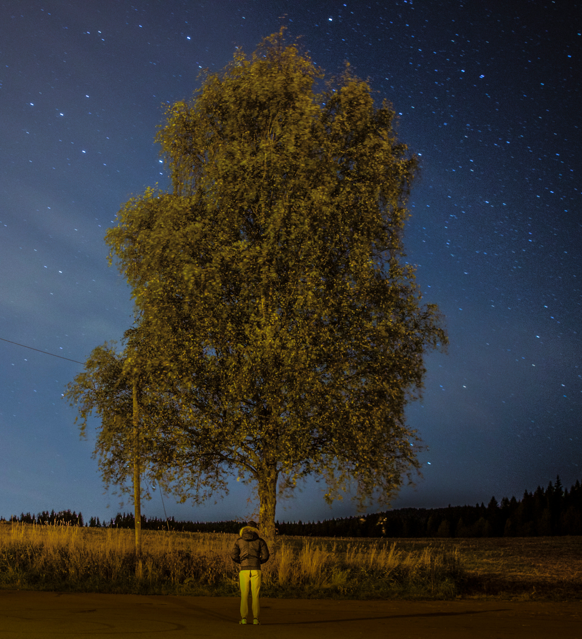 Canon EF-S 24mm F2.8 STM sample photo. Model in the nightsky photography