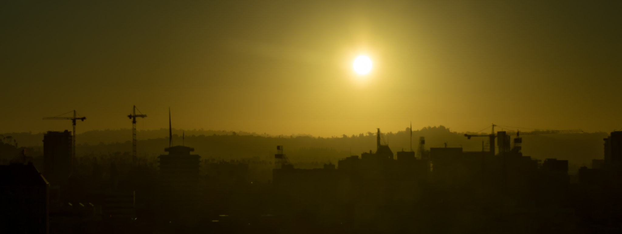 Nikon AF-S Nikkor 24-70mm F2.8G ED sample photo. Good morning hollywood photography