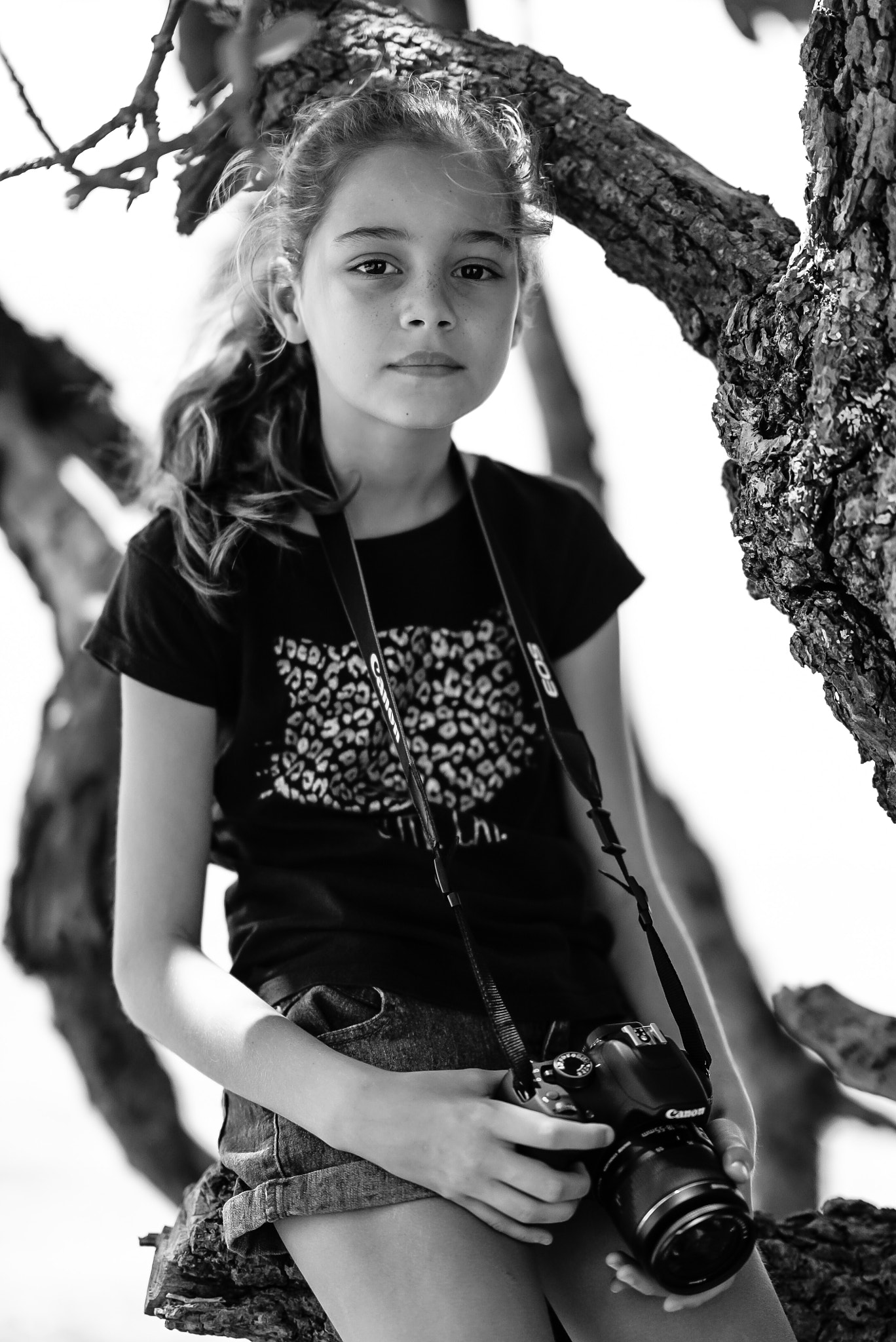Sony FE 85mm F1.4 GM sample photo. Seating on a branch photography