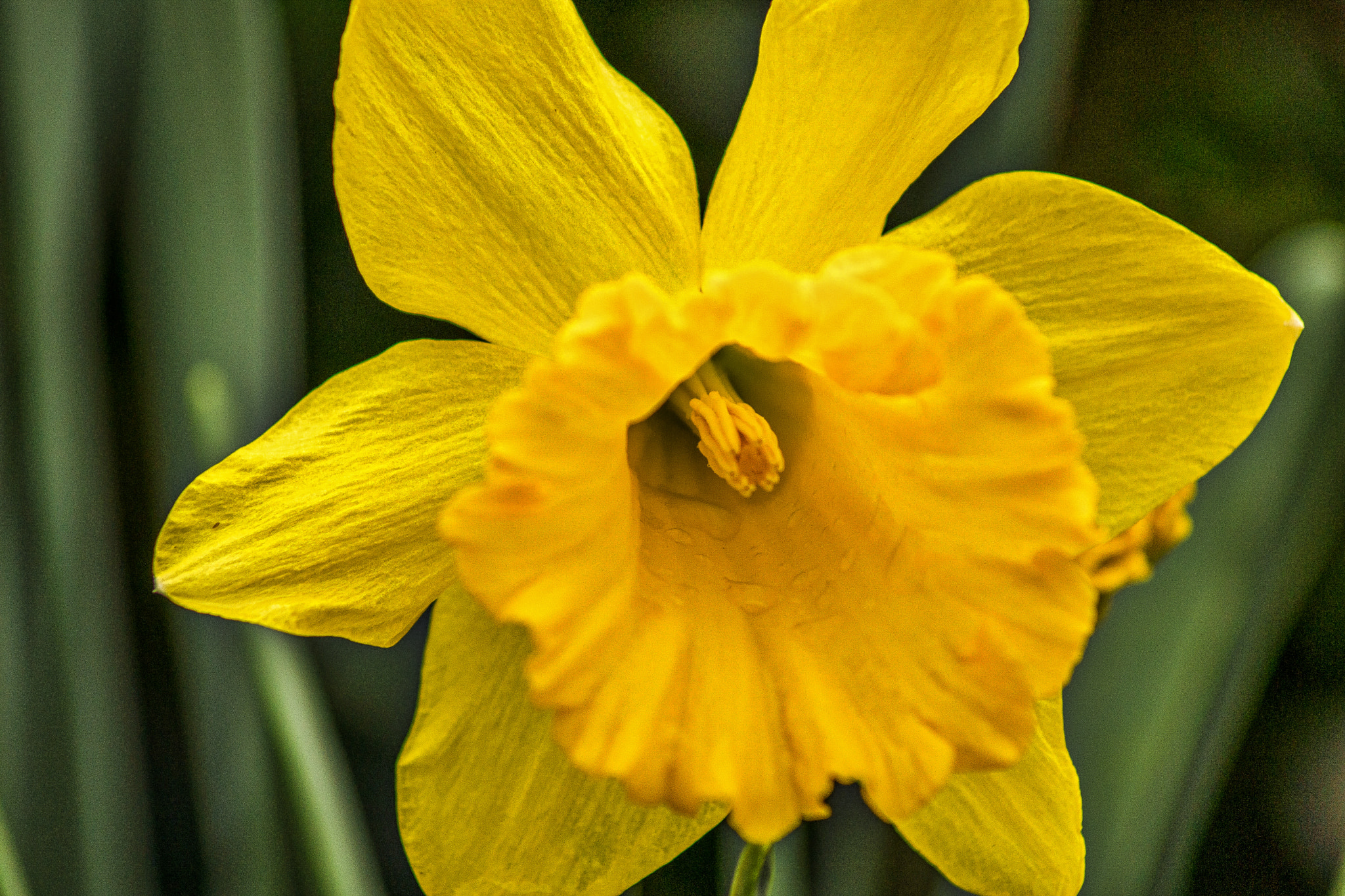 Sony 75-300mm F4.5-5.6 sample photo