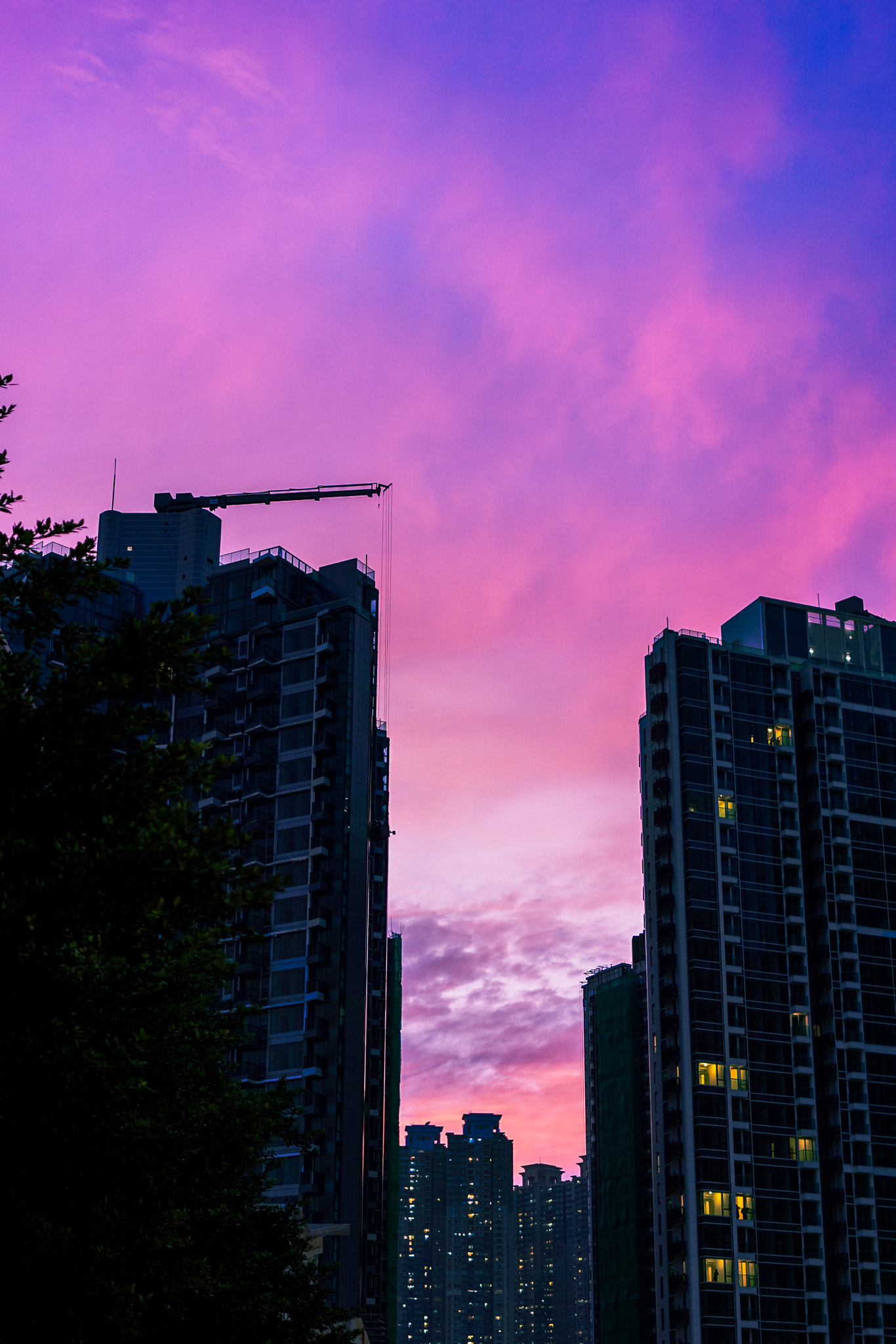 Sony a6000 + Sony Sonnar T* FE 35mm F2.8 ZA sample photo. Purple burnt photography