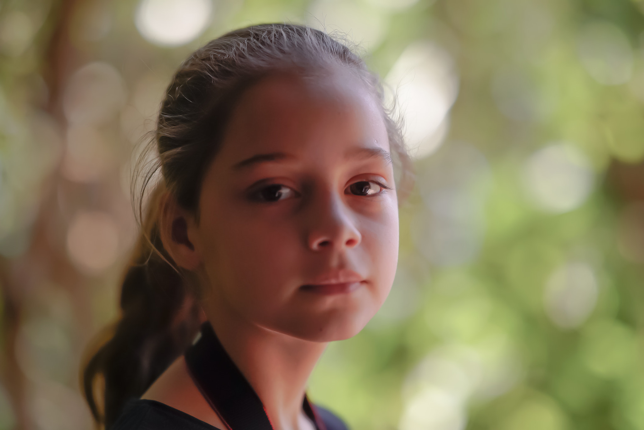 Sony FE 85mm F1.4 GM sample photo. Forest light photography