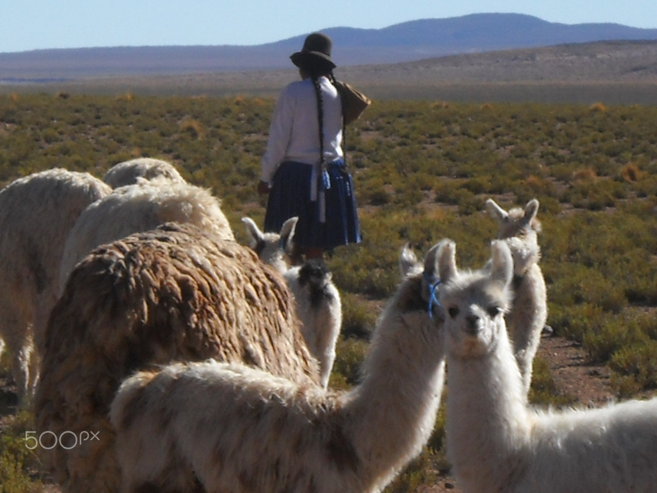 Nikon Coolpix L20 sample photo. 4wd adventure through salt lakes in bolivia photography