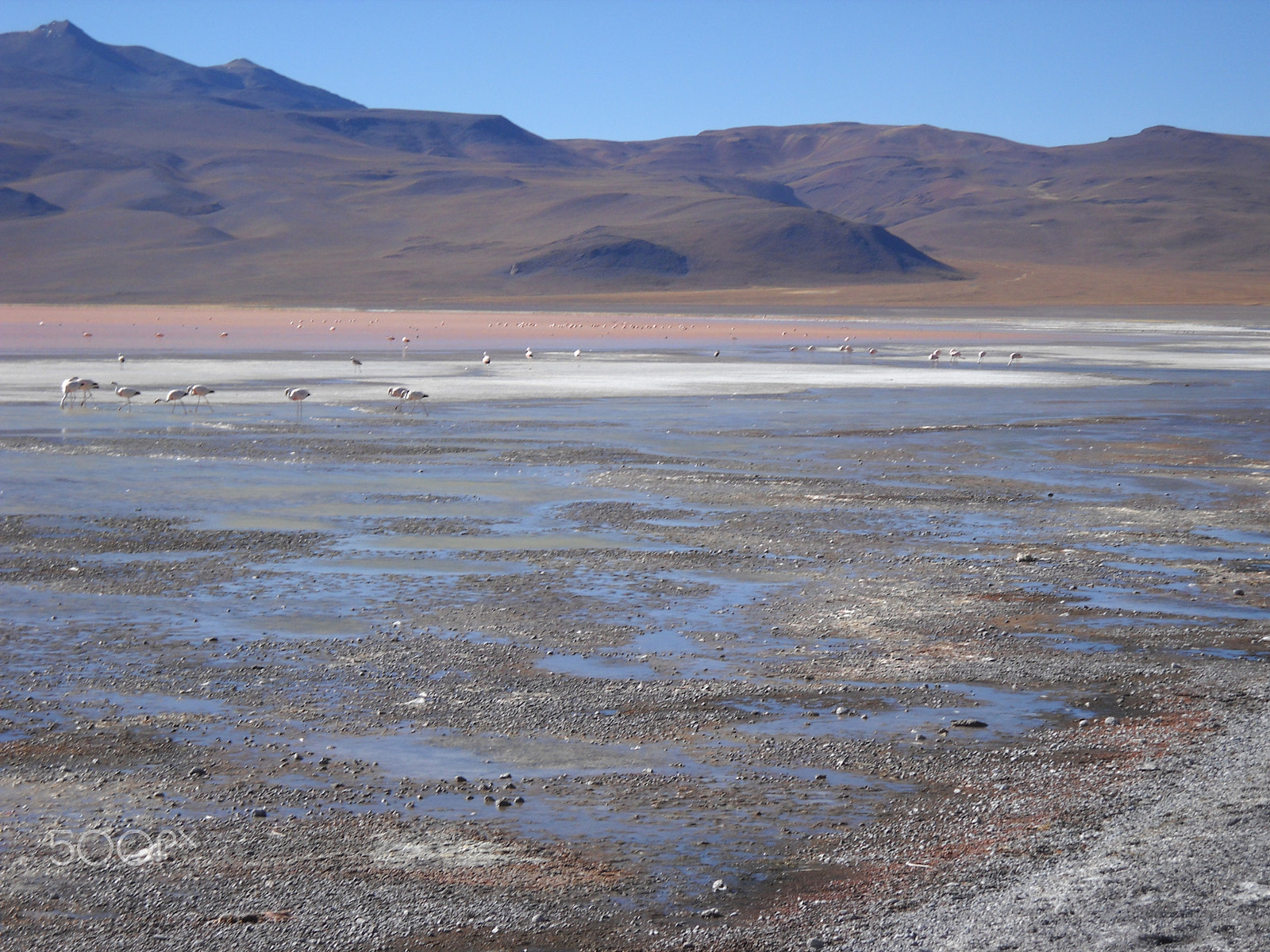 Nikon Coolpix L20 sample photo. 4wd adventure through salt lakes in bolivia photography