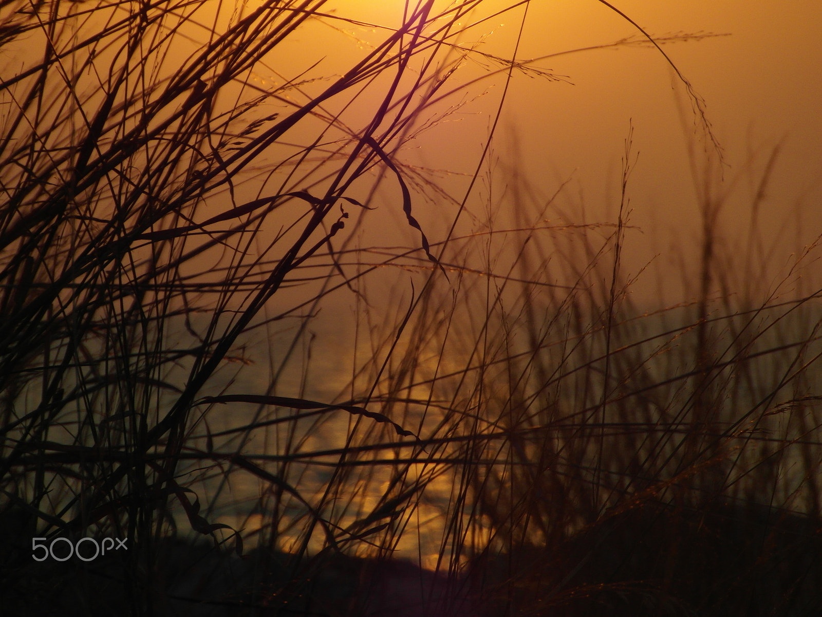 Samsung WB750 sample photo. Khao laem ya photography