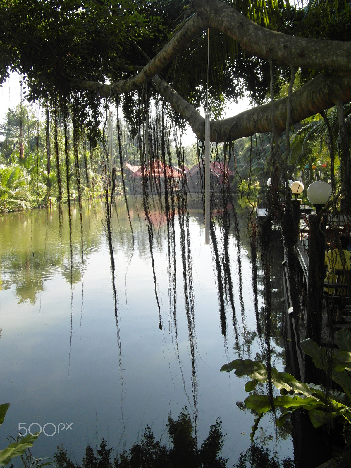 Samsung WB750 sample photo. Krua rim klong photography