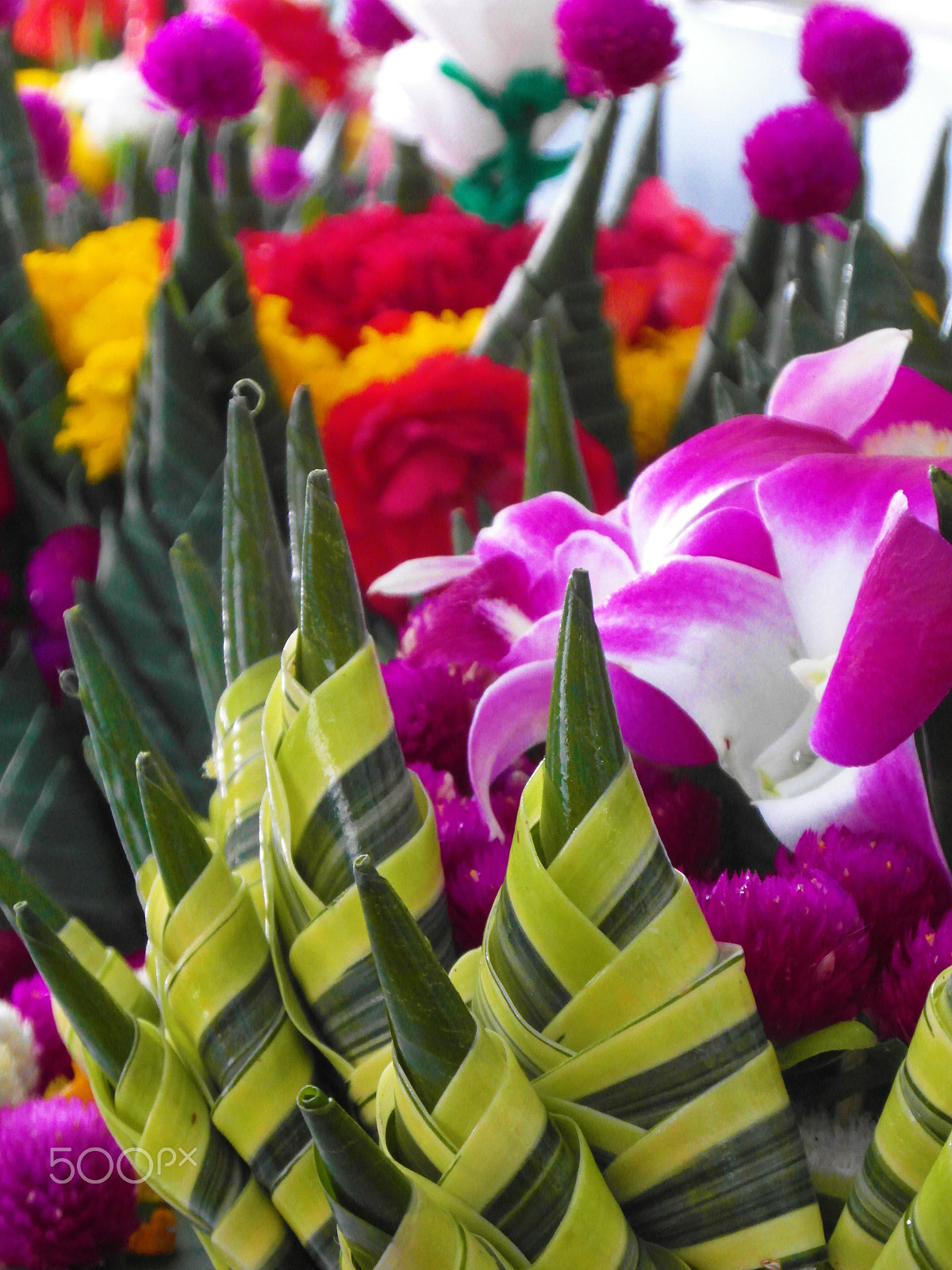 Samsung WB750 sample photo. Loy krathong festival photography